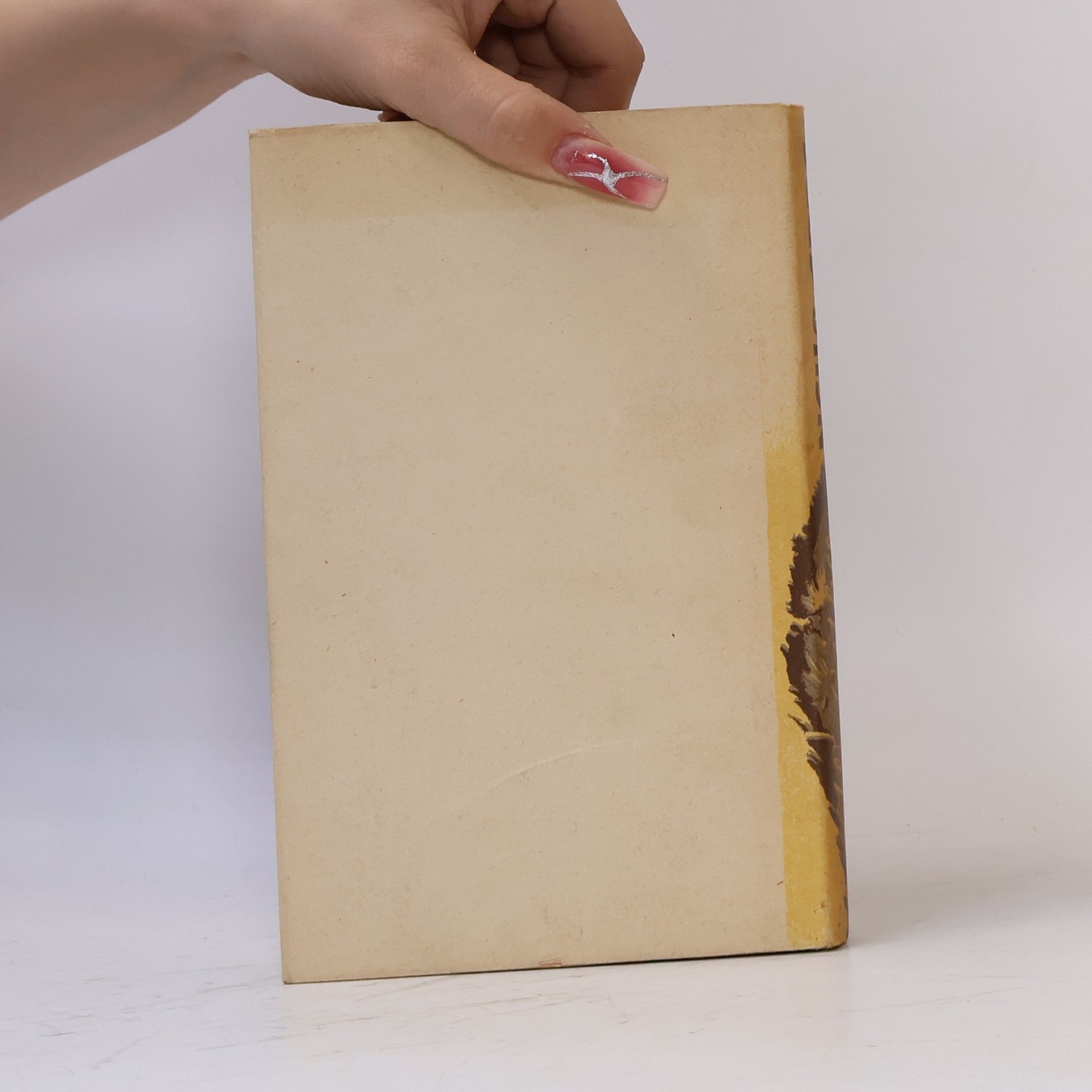 Willa Cather Neue Erde