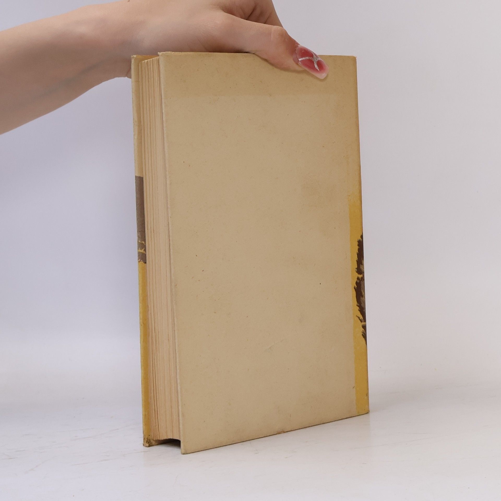 Willa Cather Neue Erde