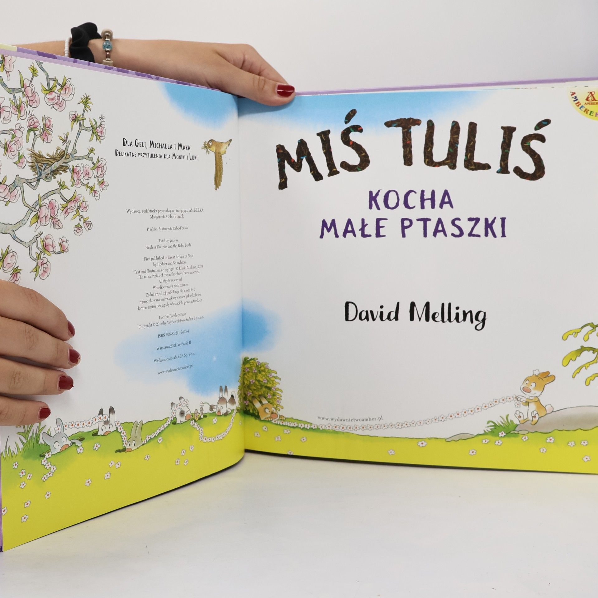 David Melling Miś Tuliś kocha małe ptaszki