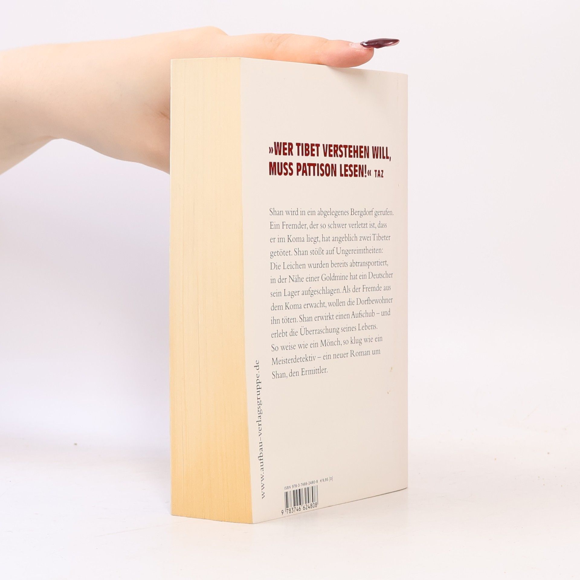 Eliot Pattison Der Berg der toten Tibeter