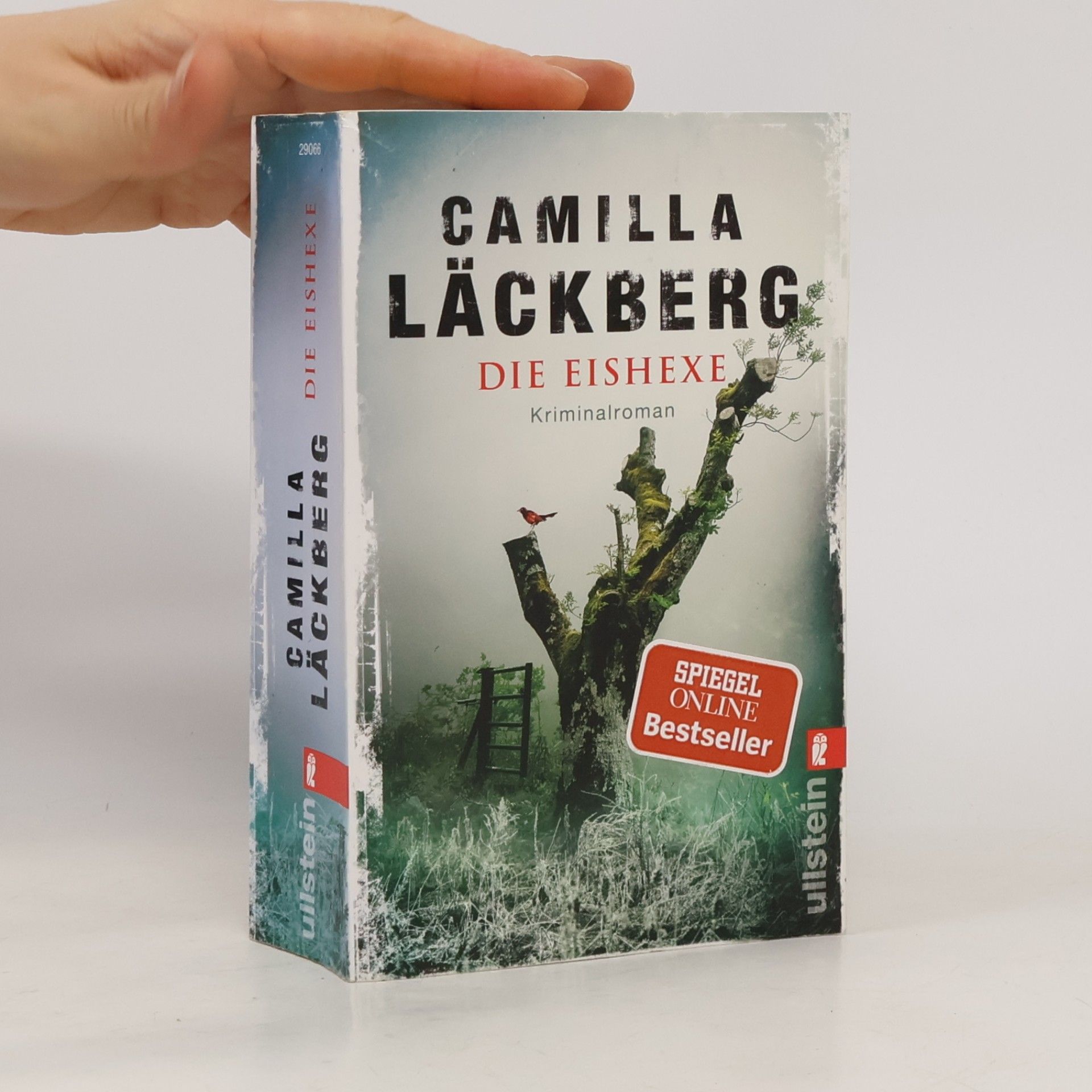 Camilla Läckberg Die Eishexe