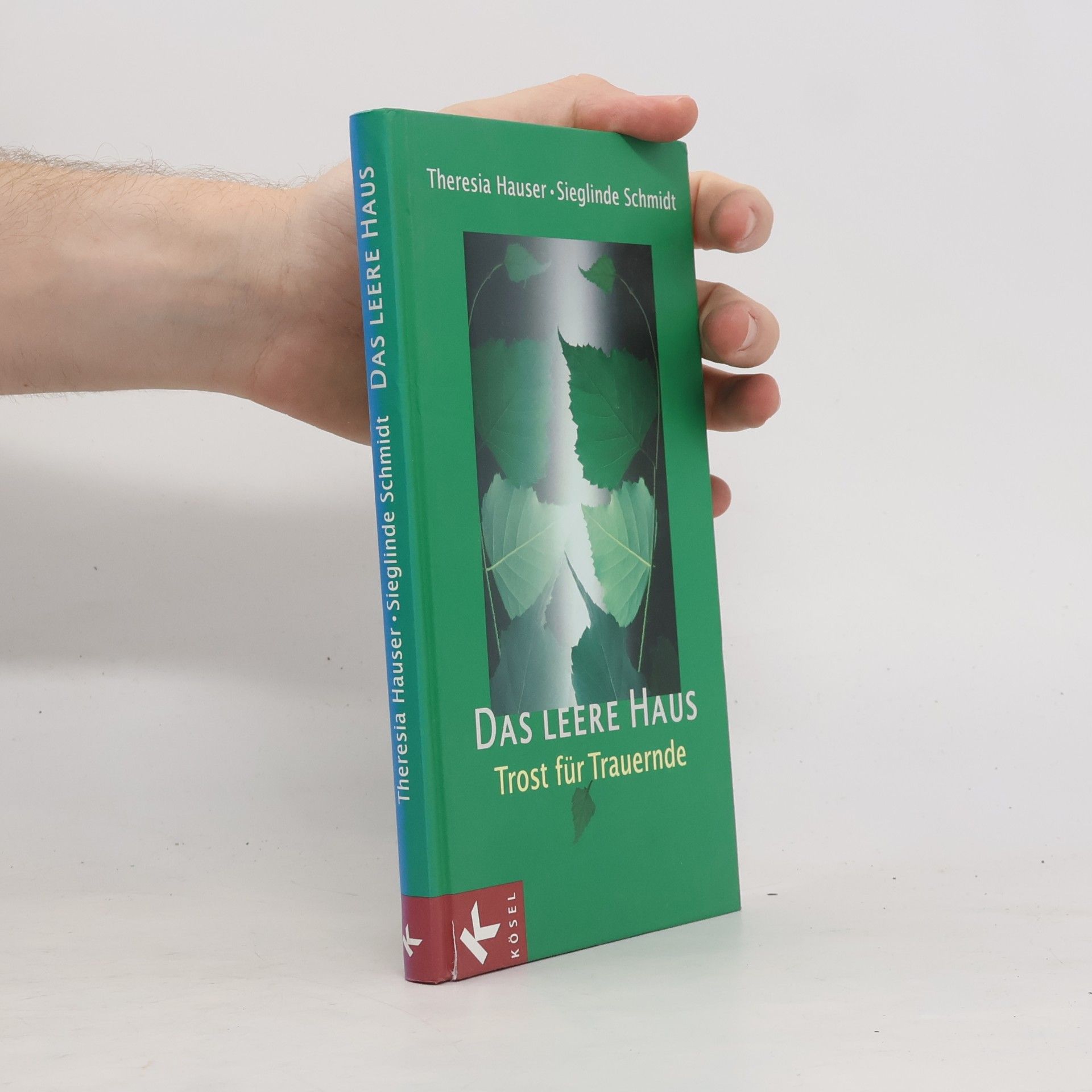 Sieglinde Schmidt Das leere Haus: Trost für Trauernde