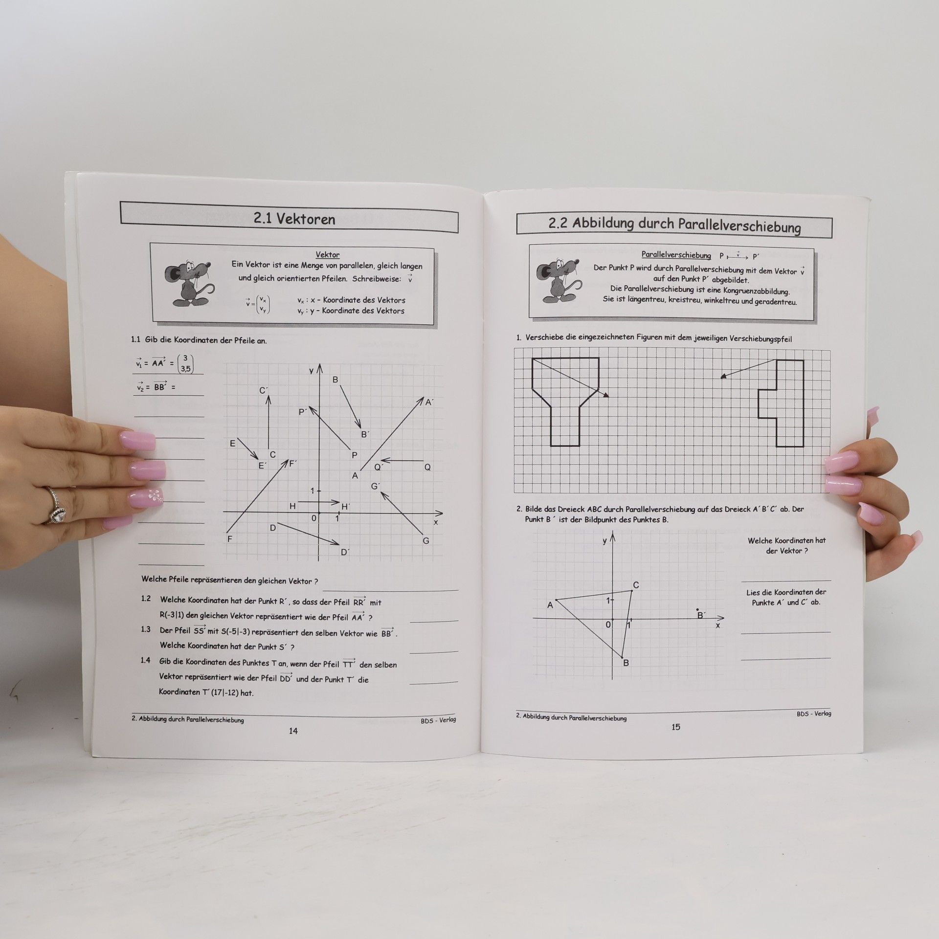 Autorenkollektiv Mathematik Aktuell 7