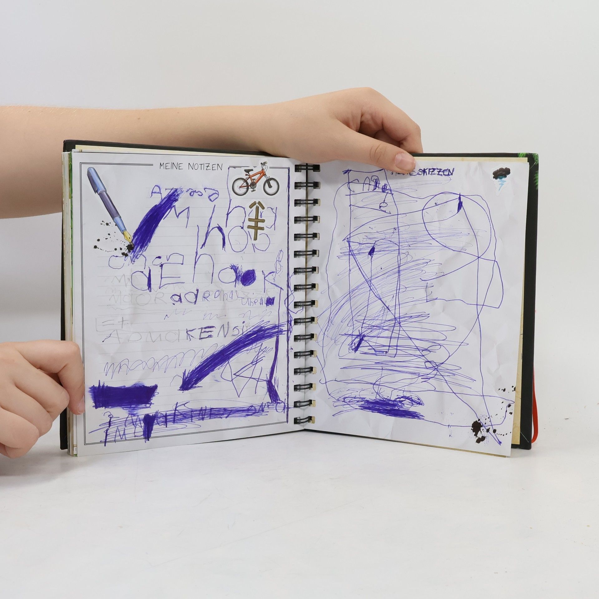Michèle Lecreux The Boy's Book: Das außergewöhnliche Handbuch für abenteuerlustige Jungs