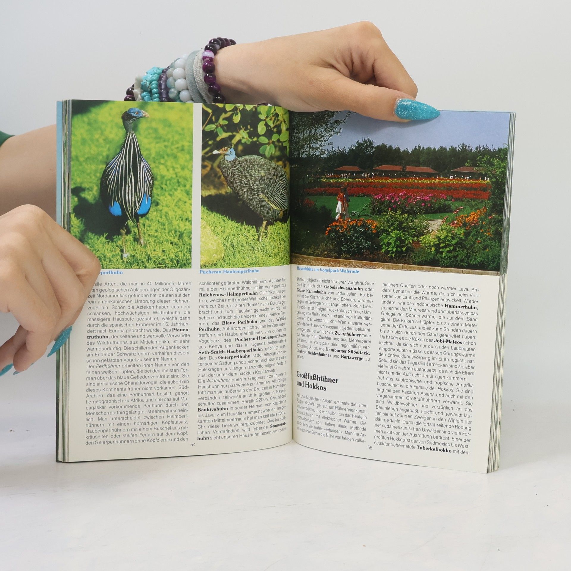 Various authors Vogelpark Walsrode