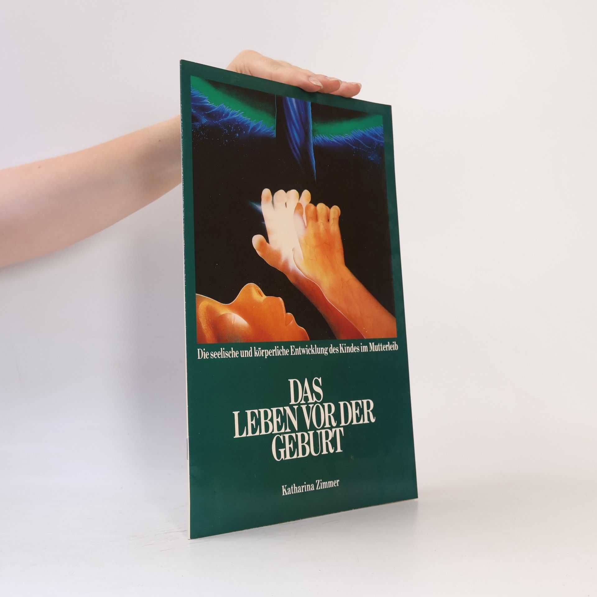 Katharina Zimmer Das Leben vor der Geburt