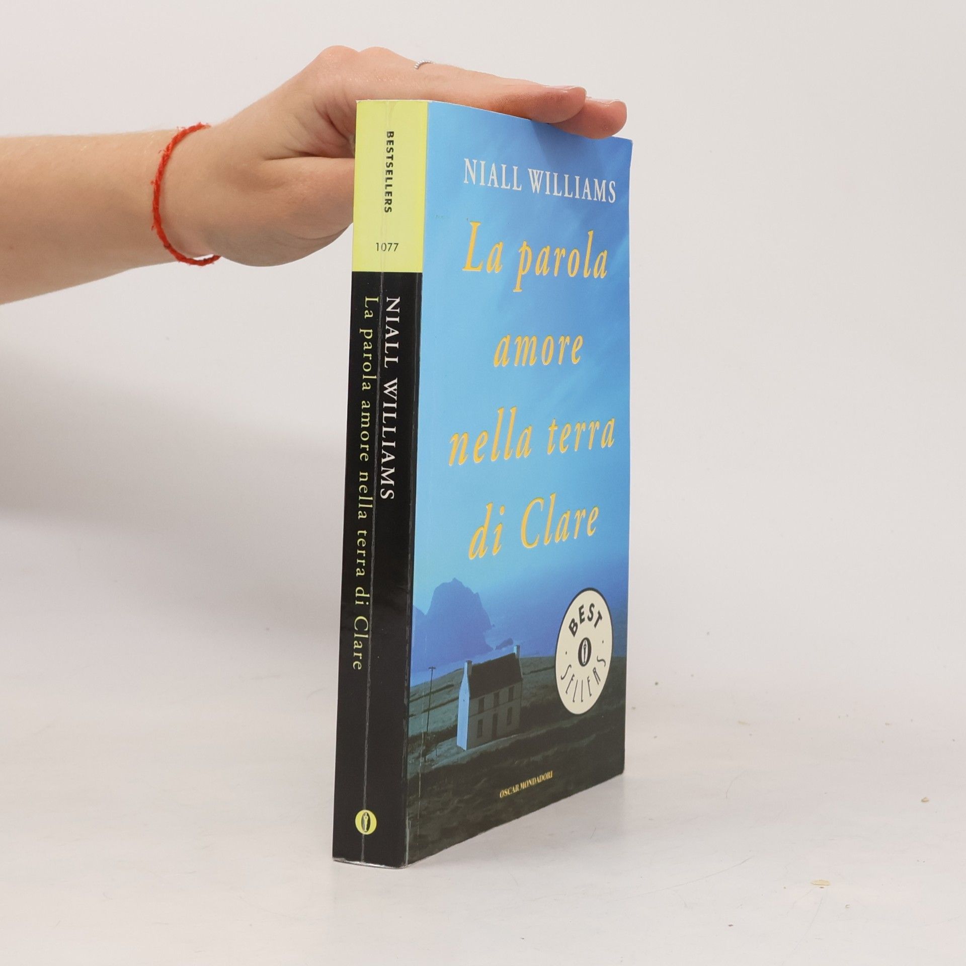 Niall Williams La parola amore nella terra di Clare