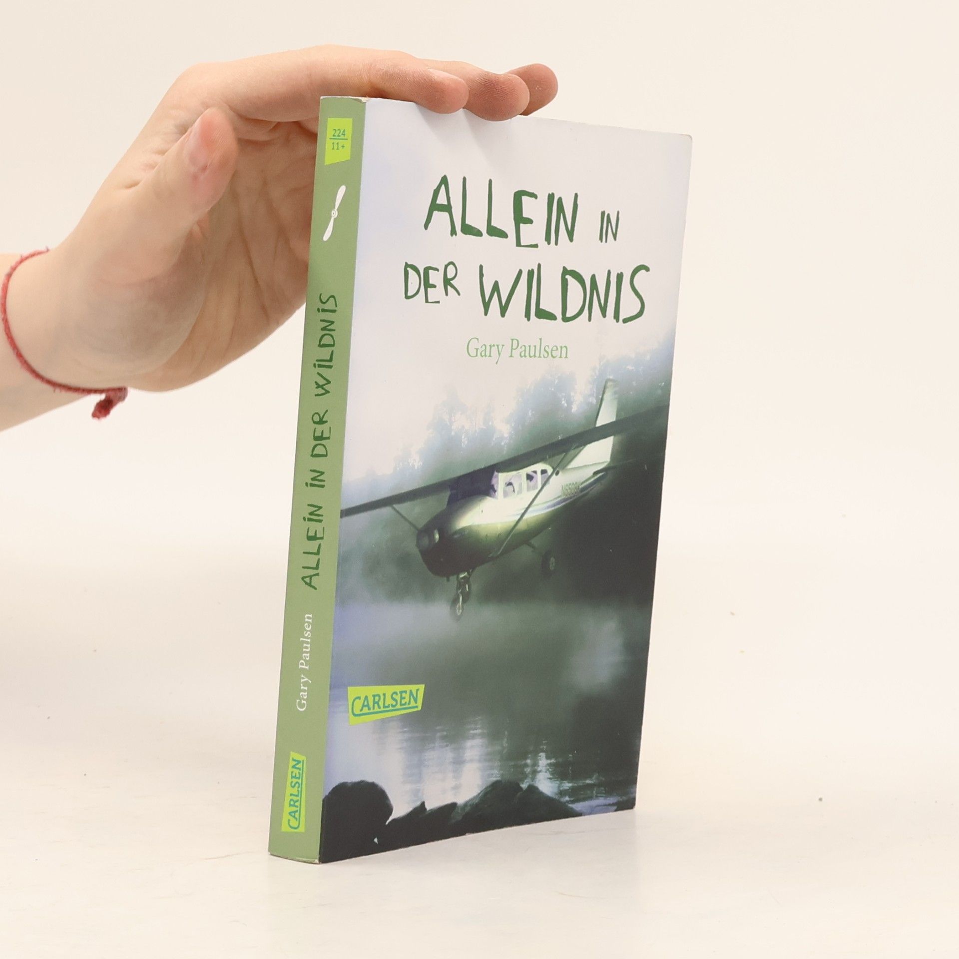 Gary Paulsen Allein in der Wildnis