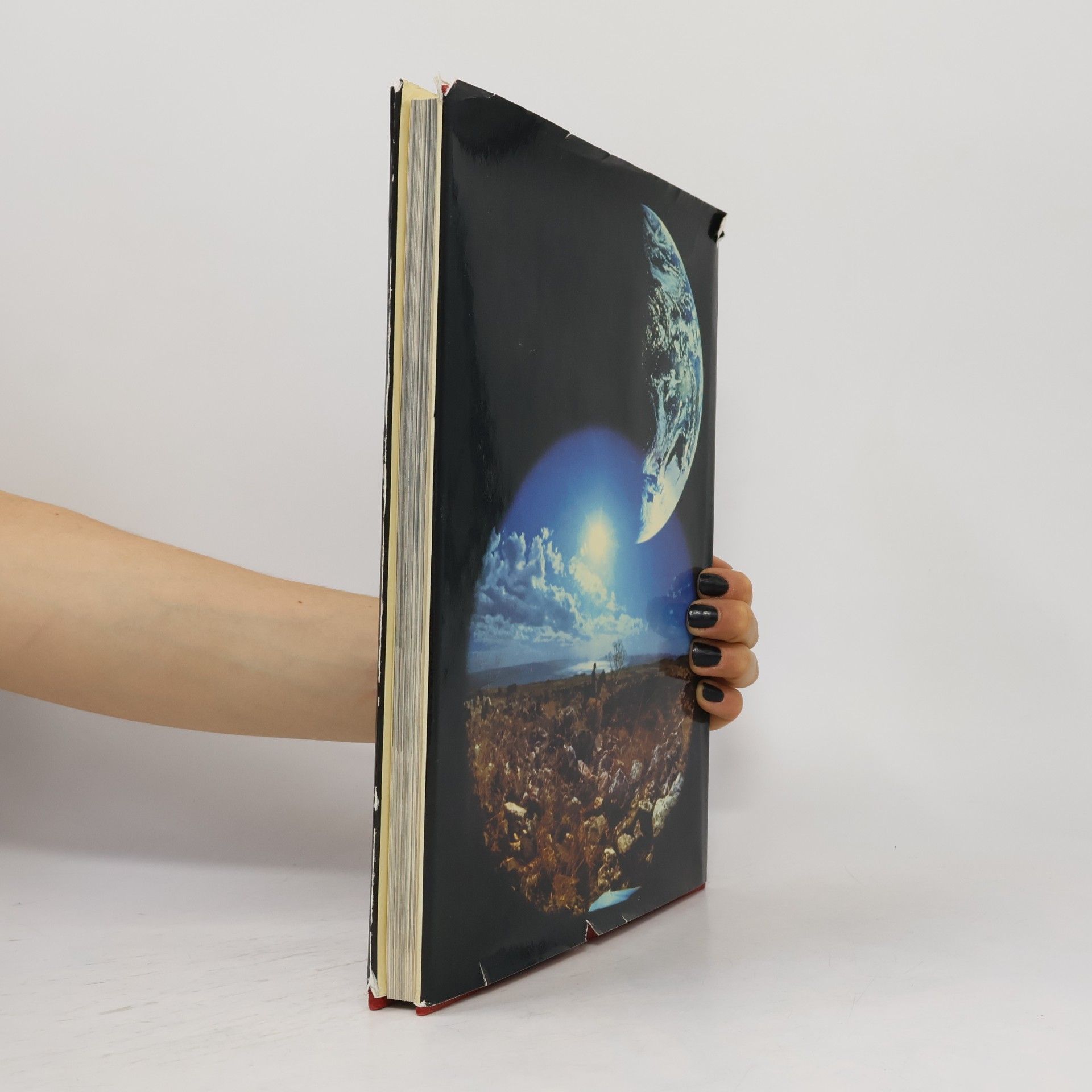 Kolektiv autorů Die Erde. Planet voller Wunder