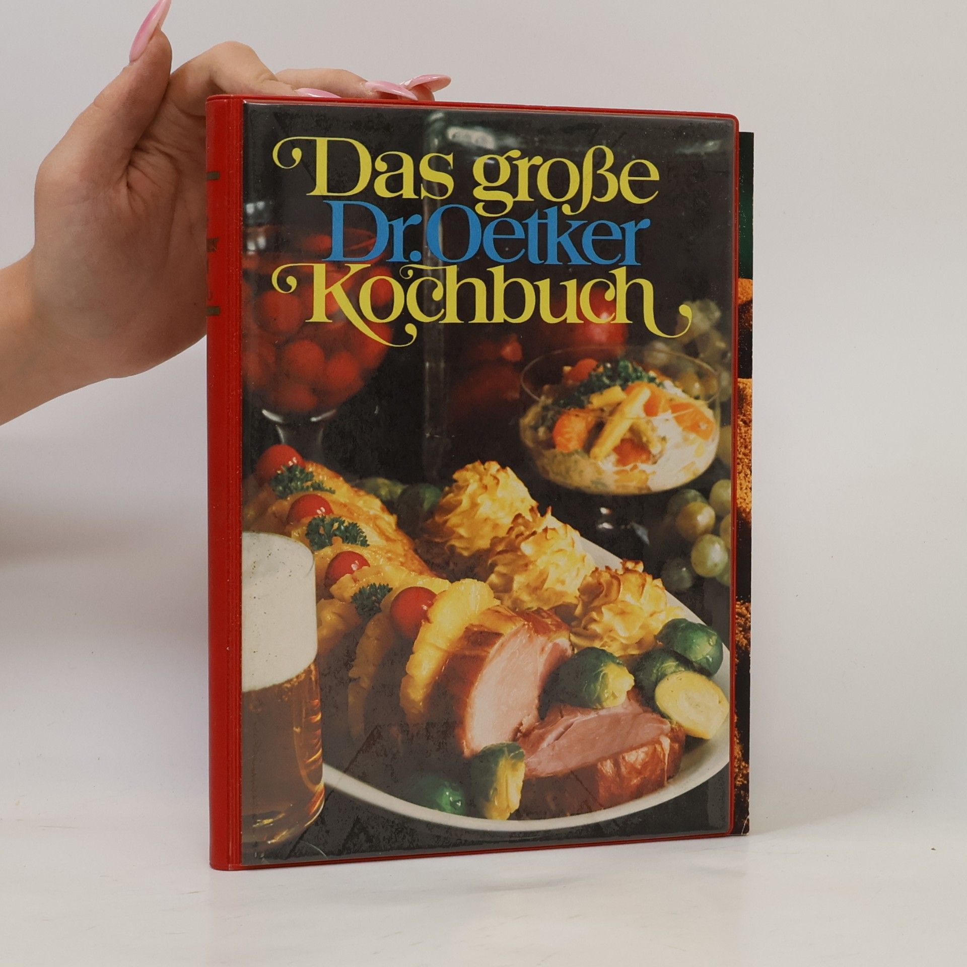 Auteurscollectief Das grosse Dr. Oetker Kochbuch