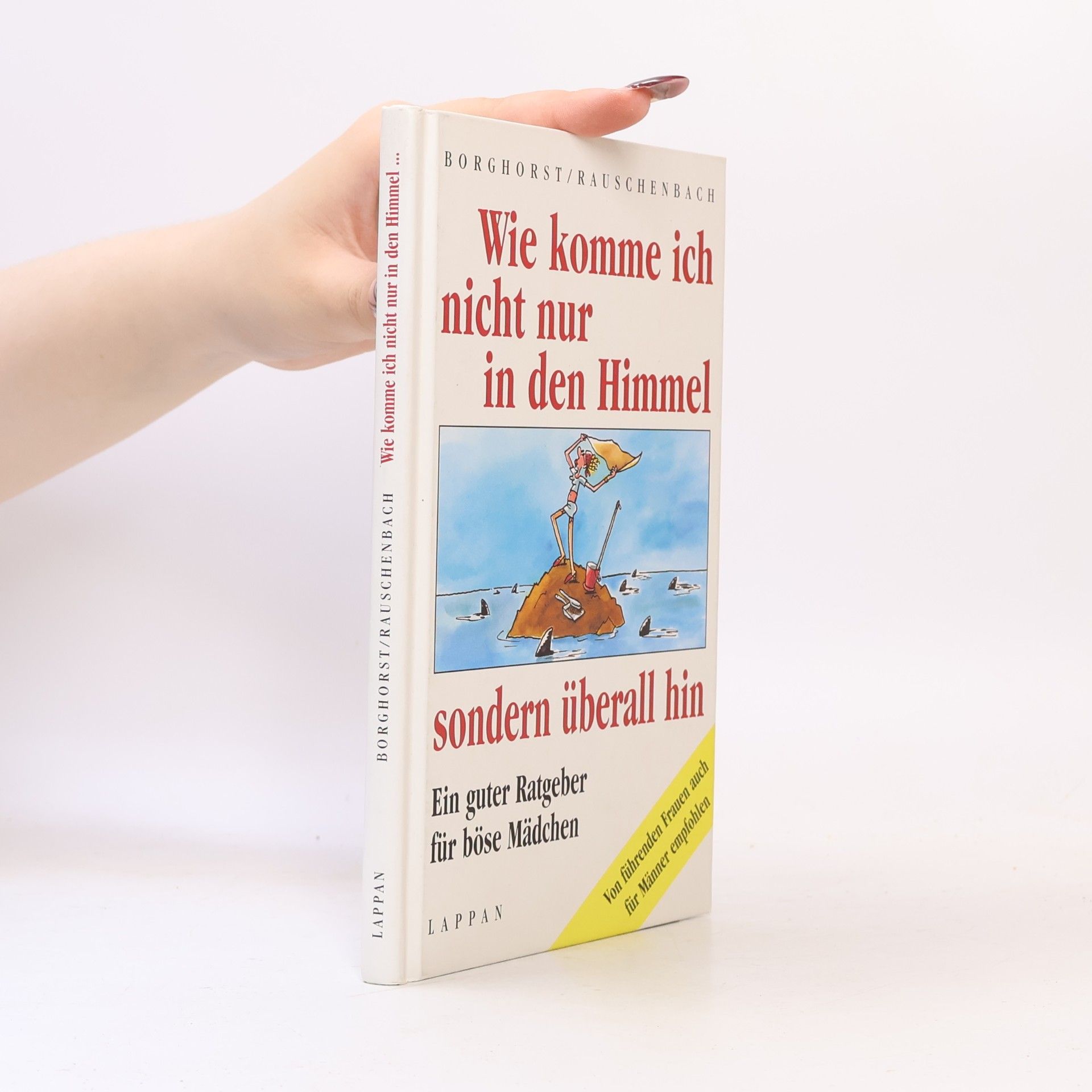 Hans Borghorst Wie komme ich nicht nur in den Himmel, sondern überall hin
