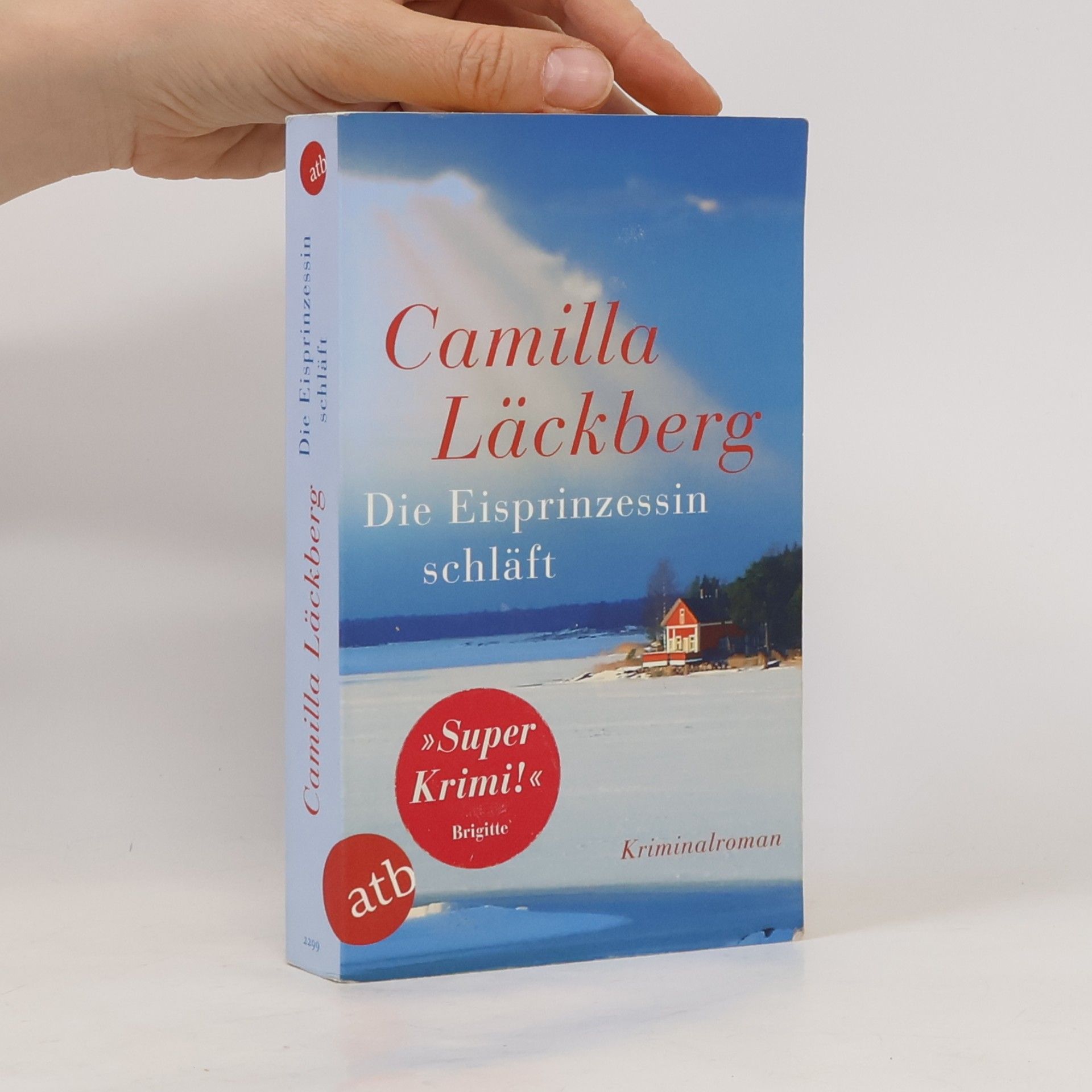 Camilla Läckberg Die Eisprinzessin schläft