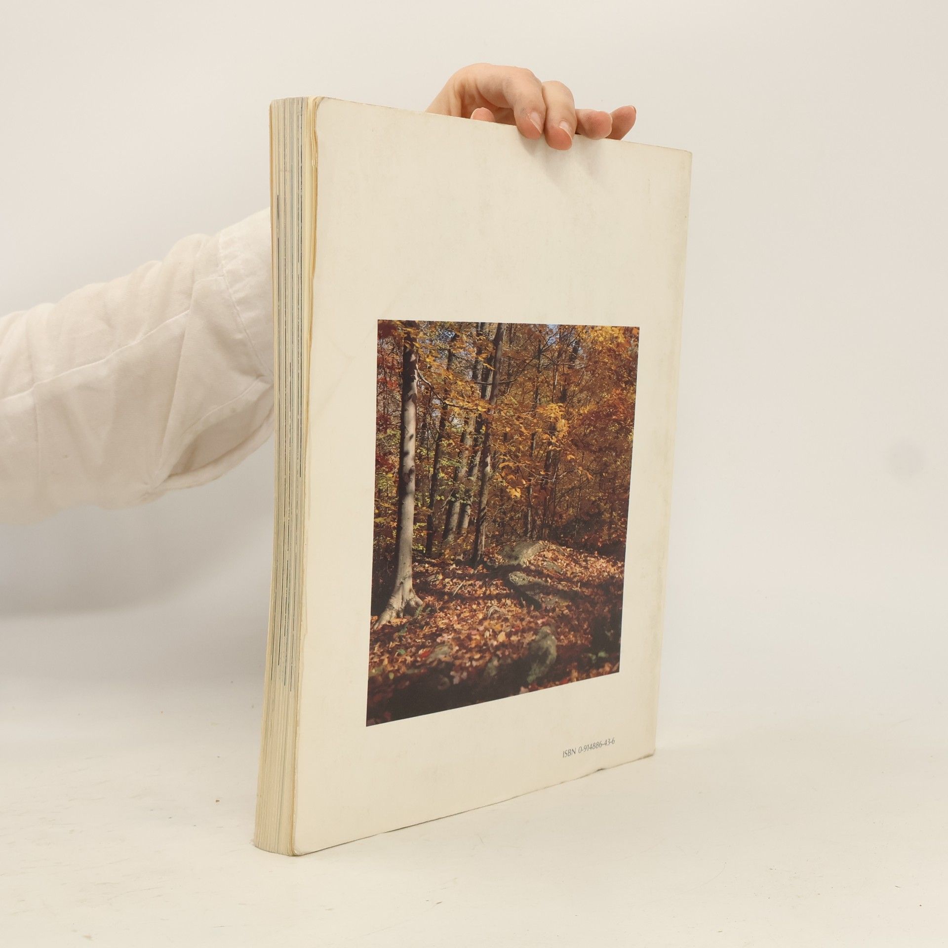 A. E. Bye Art into Landscape, Landscape into Art