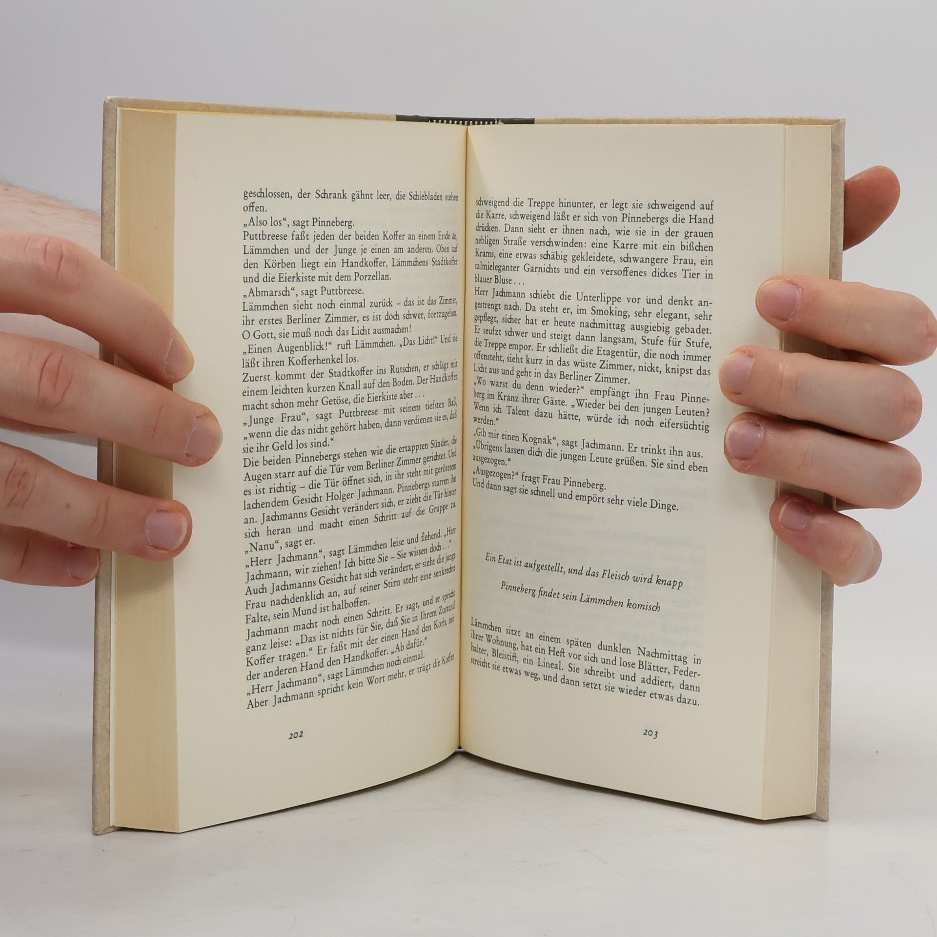 Hans Fallada Kleiner Mann – was nun?