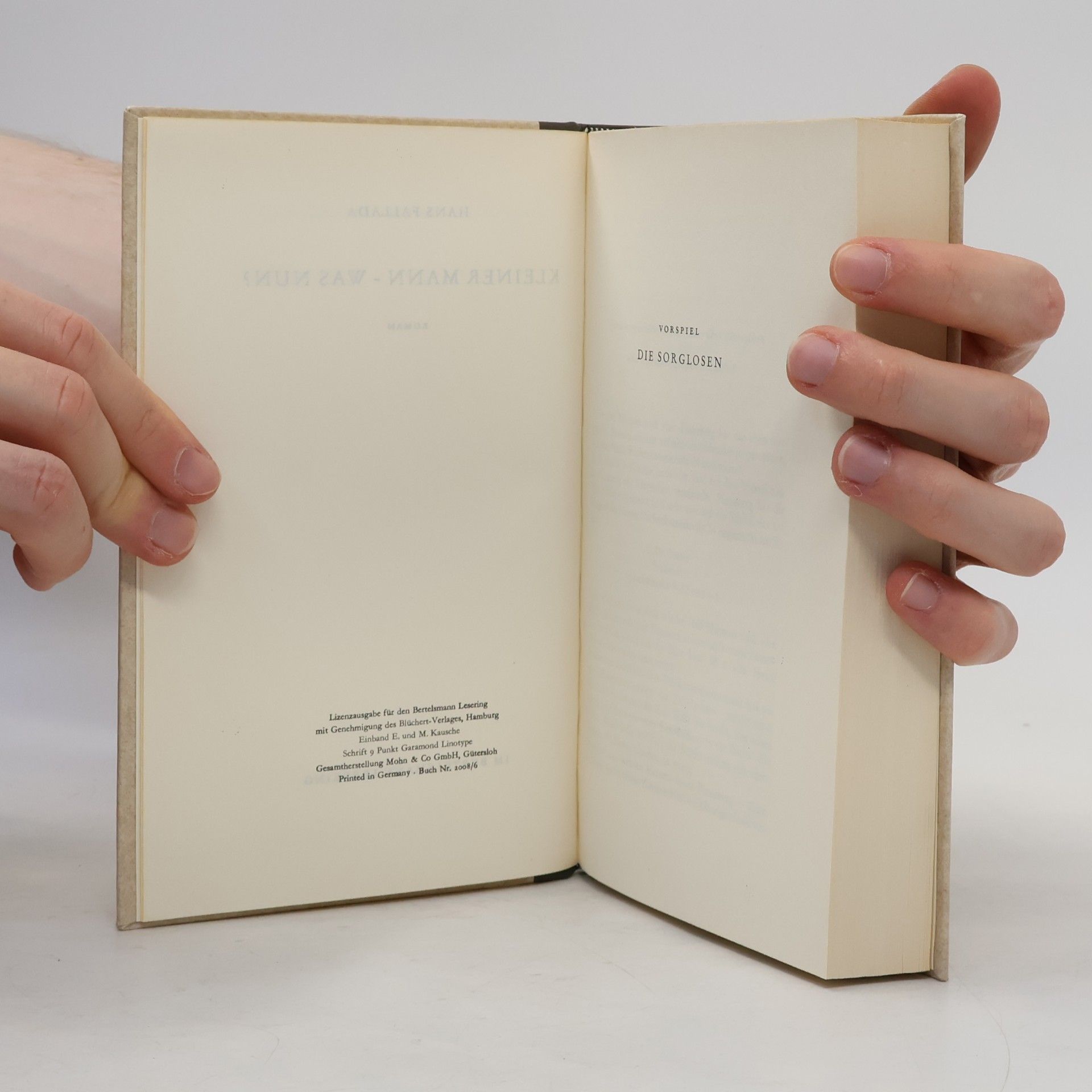 Hans Fallada Kleiner Mann – was nun?