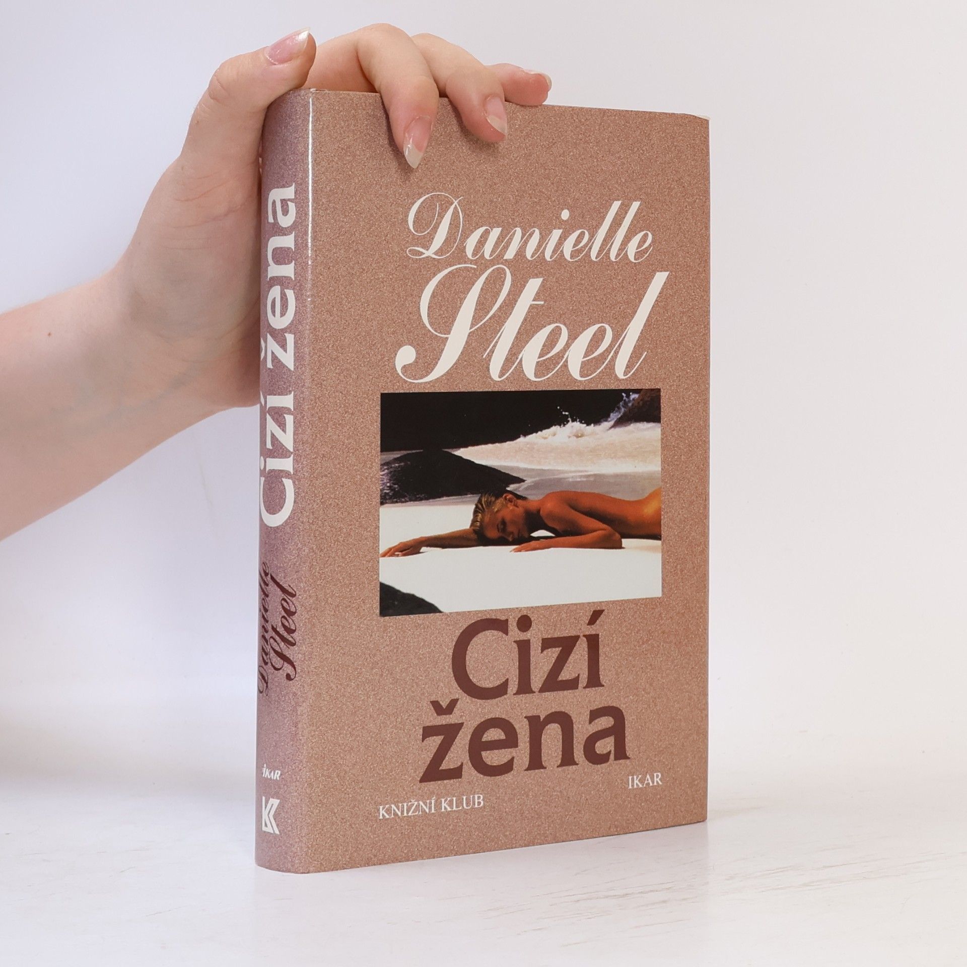 Danielle Steel Cizí žena
