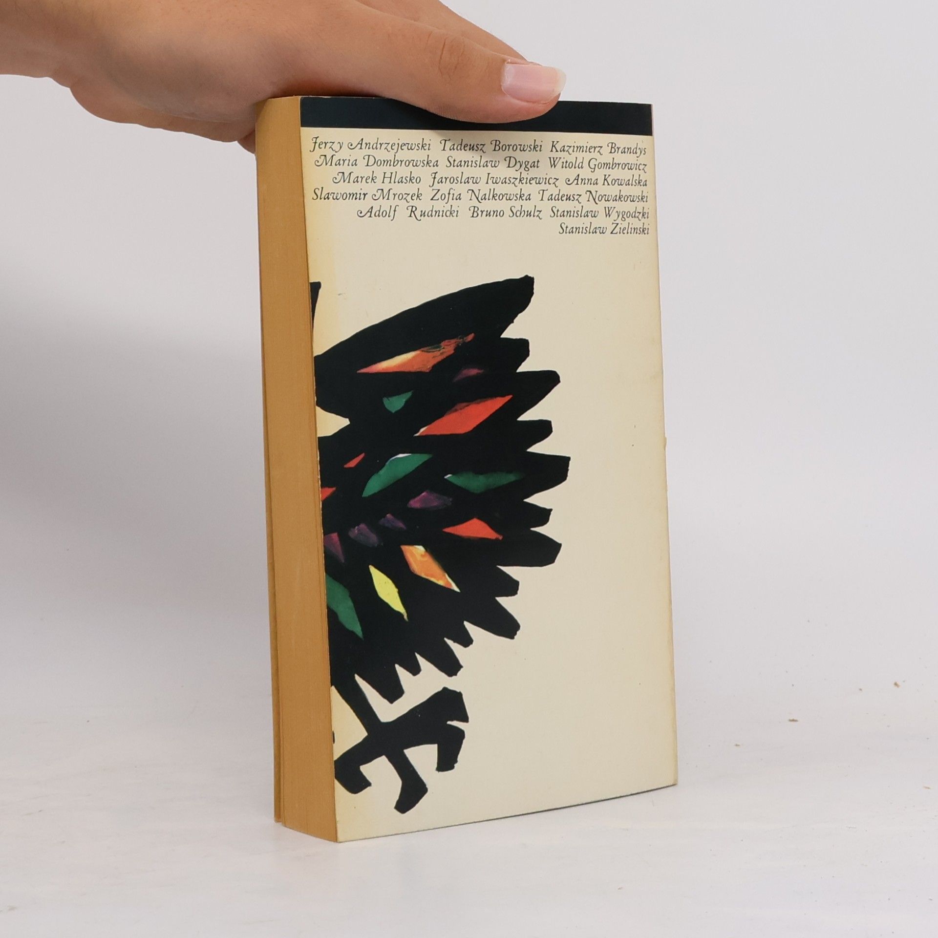 Marcel Reich Ranicki 16 Polnische Erzähler