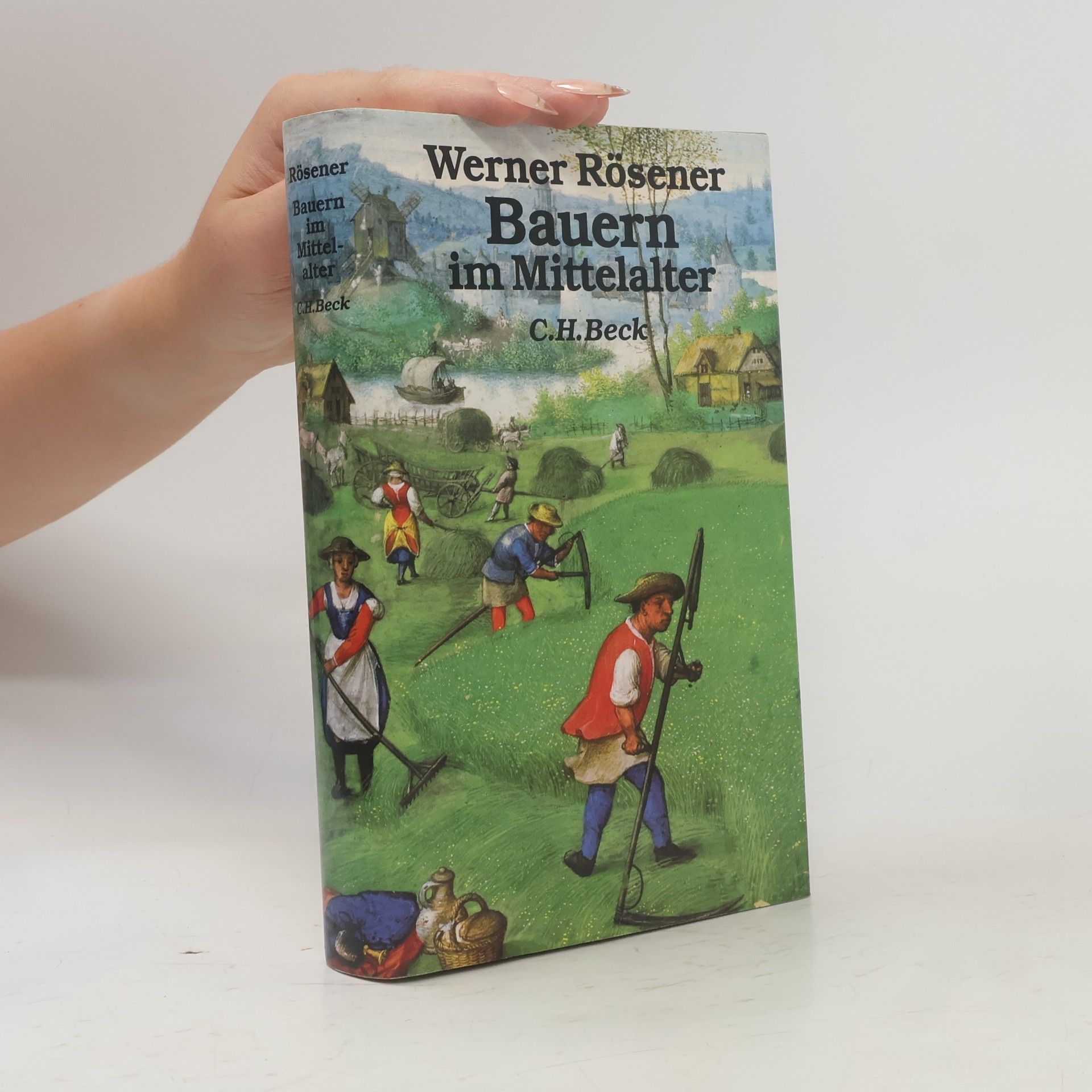 Werner Rösener Bauern im Mittelalter