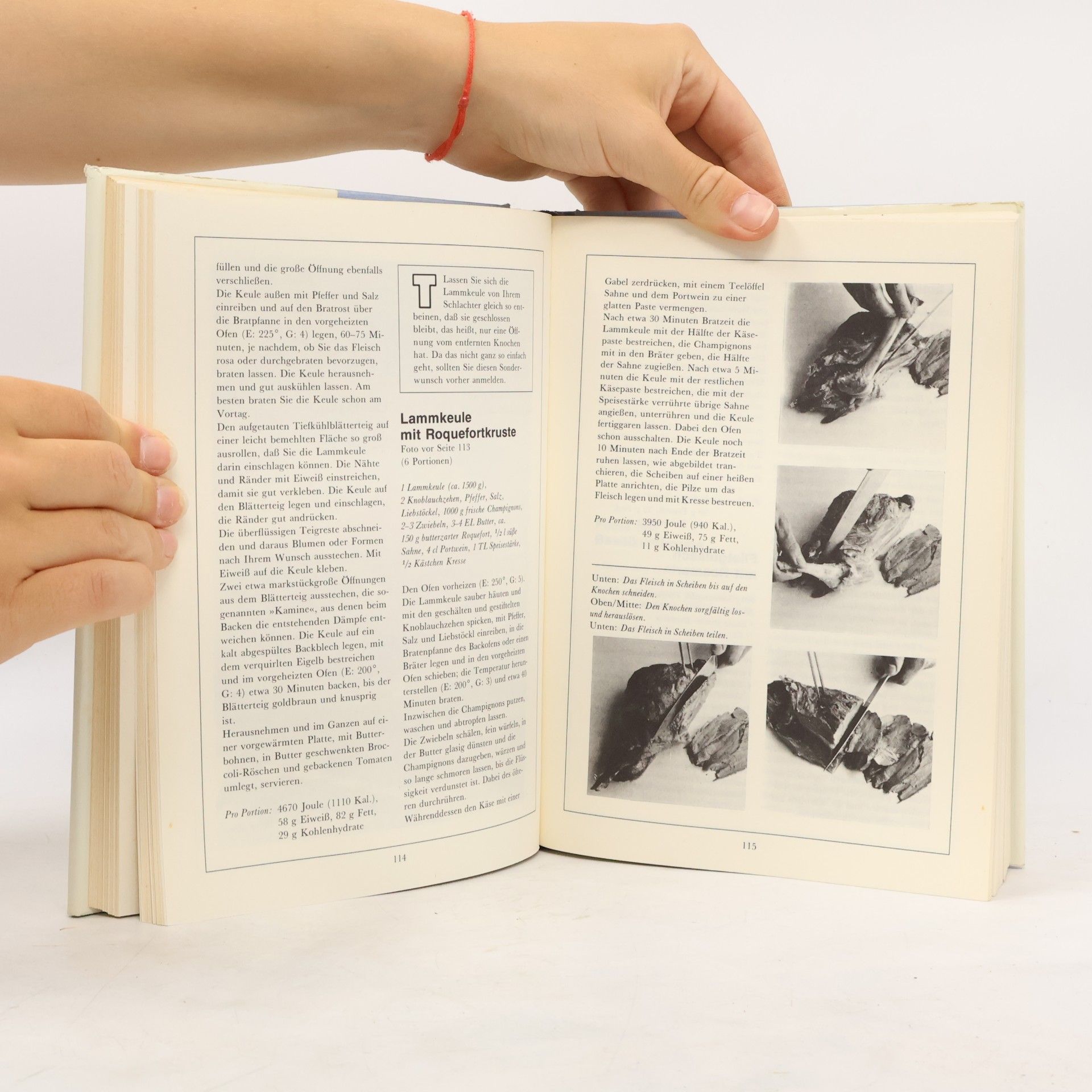 Hans J. Fahrenkamp Das große Buch der Neuen Deutschen Küche