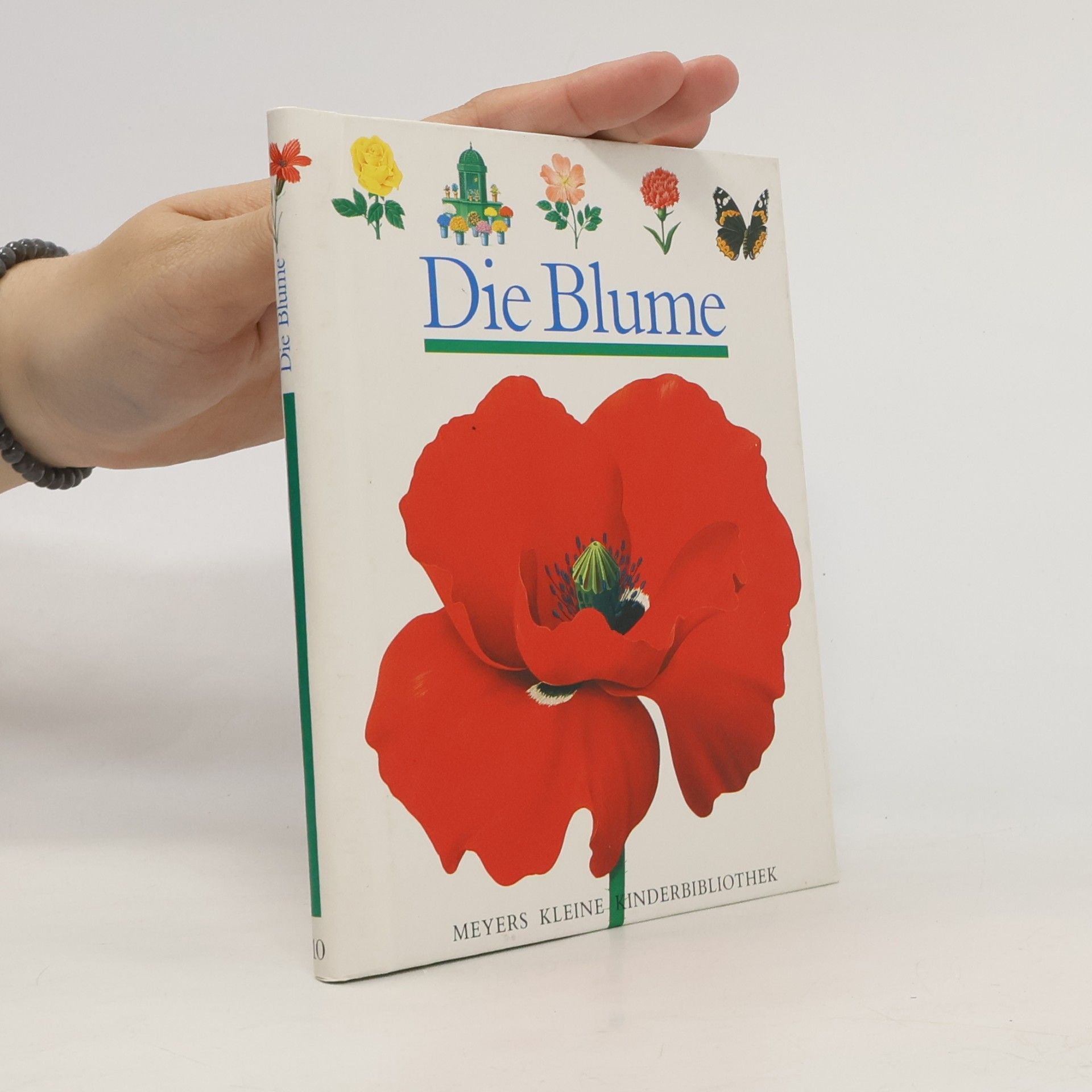 Rene Mettler Die Blume