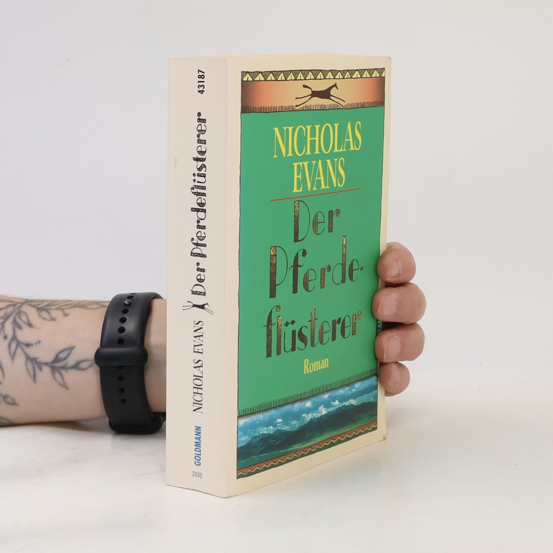 Nicholas Evans Der Pferdeflüsterer