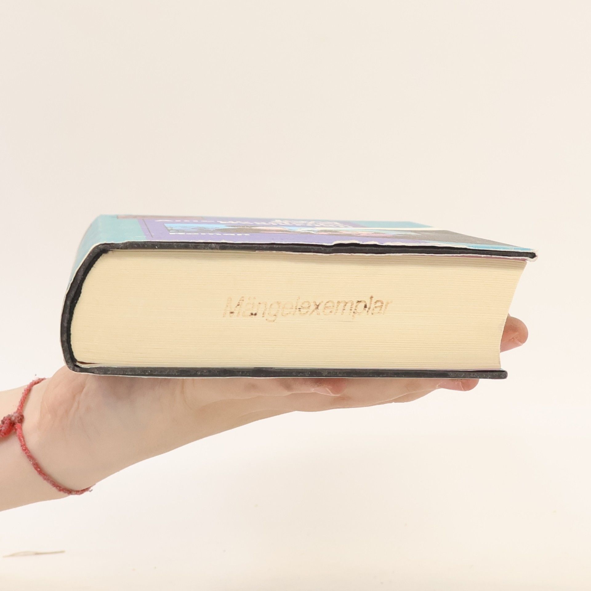 Joyce Carol Oates Amerikanische Begierden