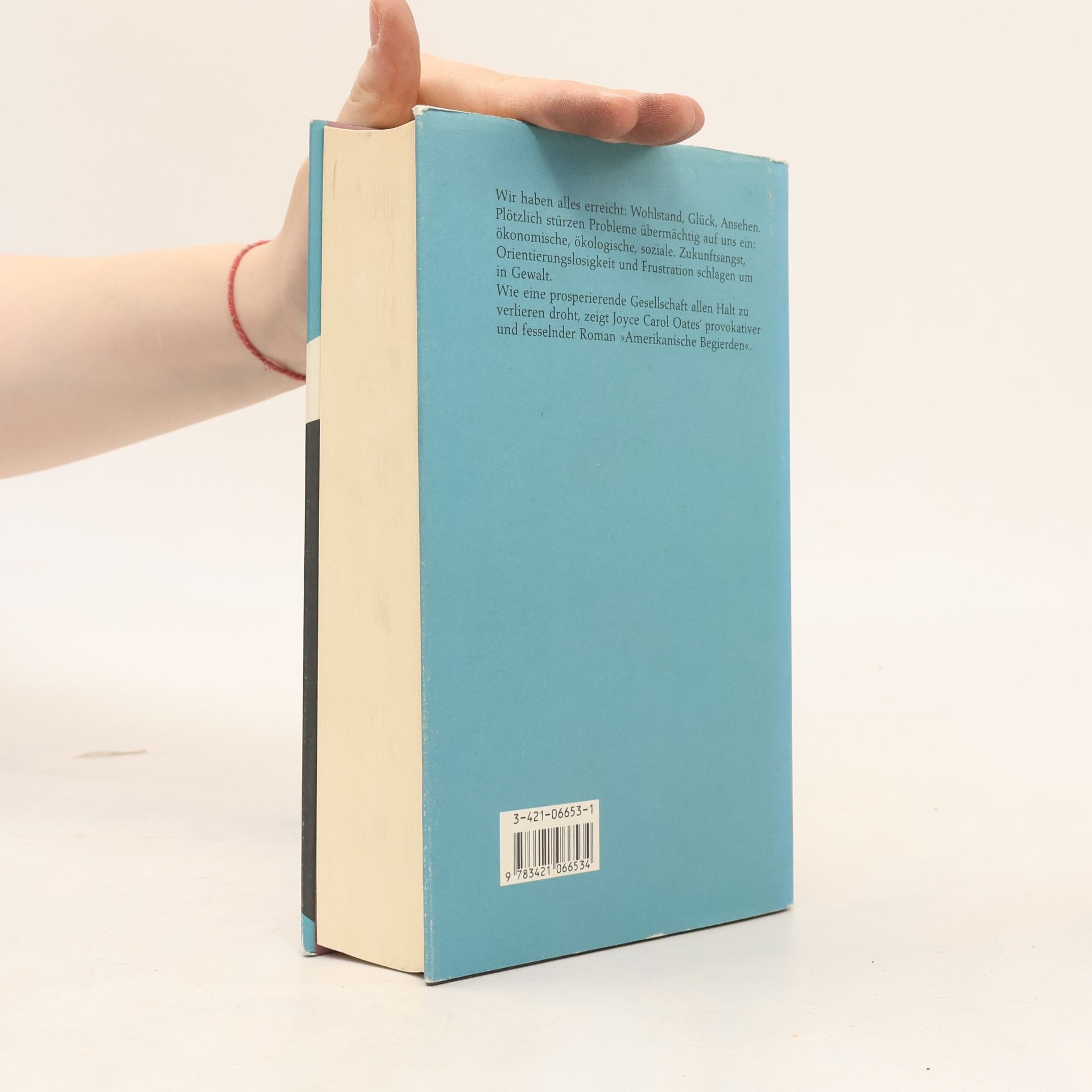 Joyce Carol Oates Amerikanische Begierden