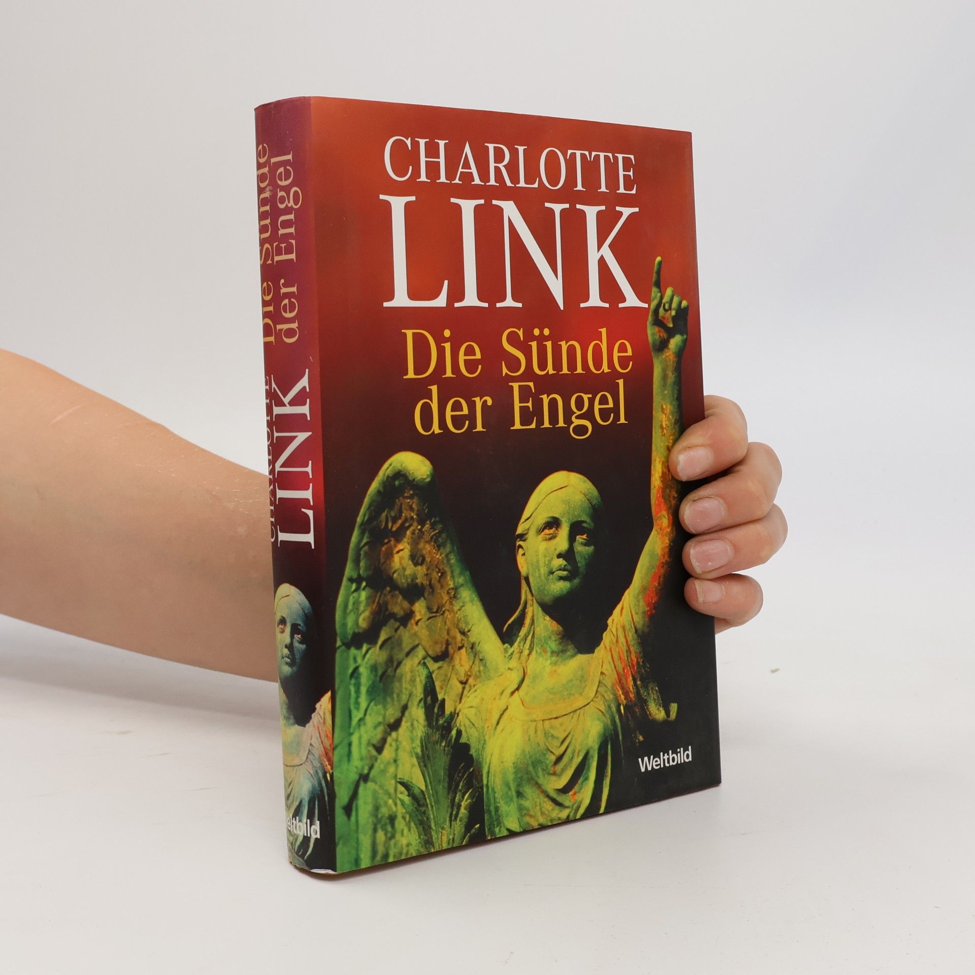 Charlotte Link Die Sünde der Engel