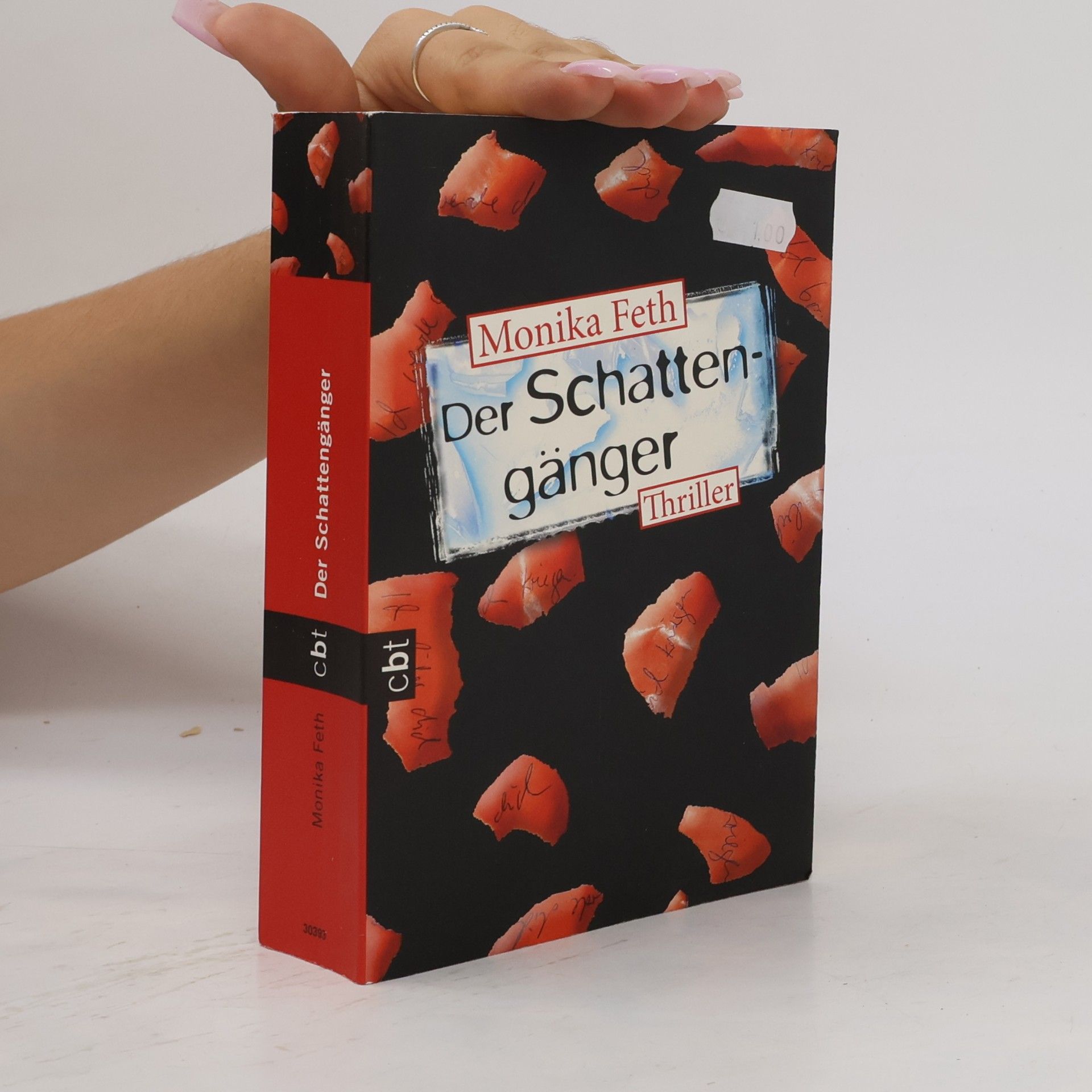 Monika Feth Der Schattengänger