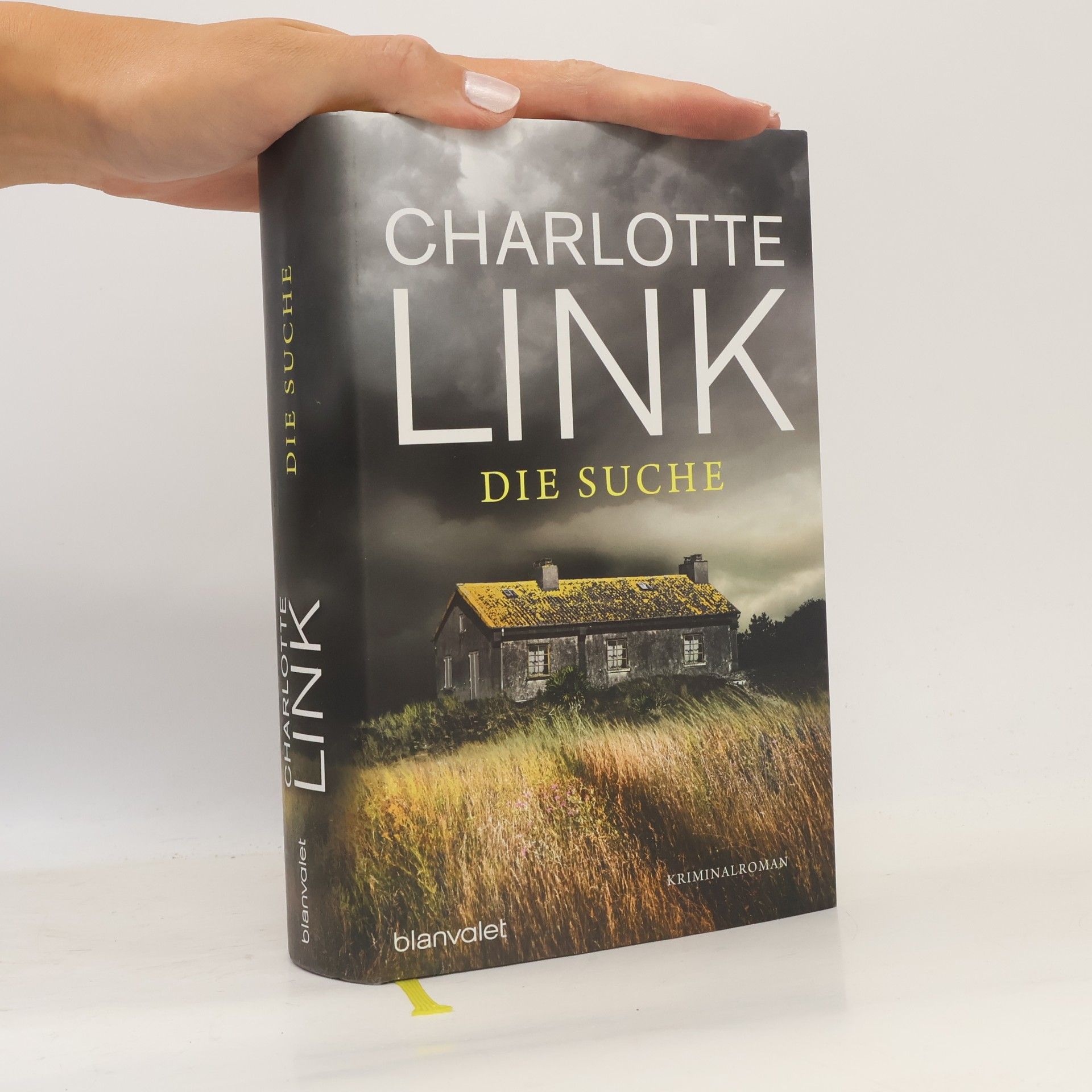 Charlotte Link Die Suche