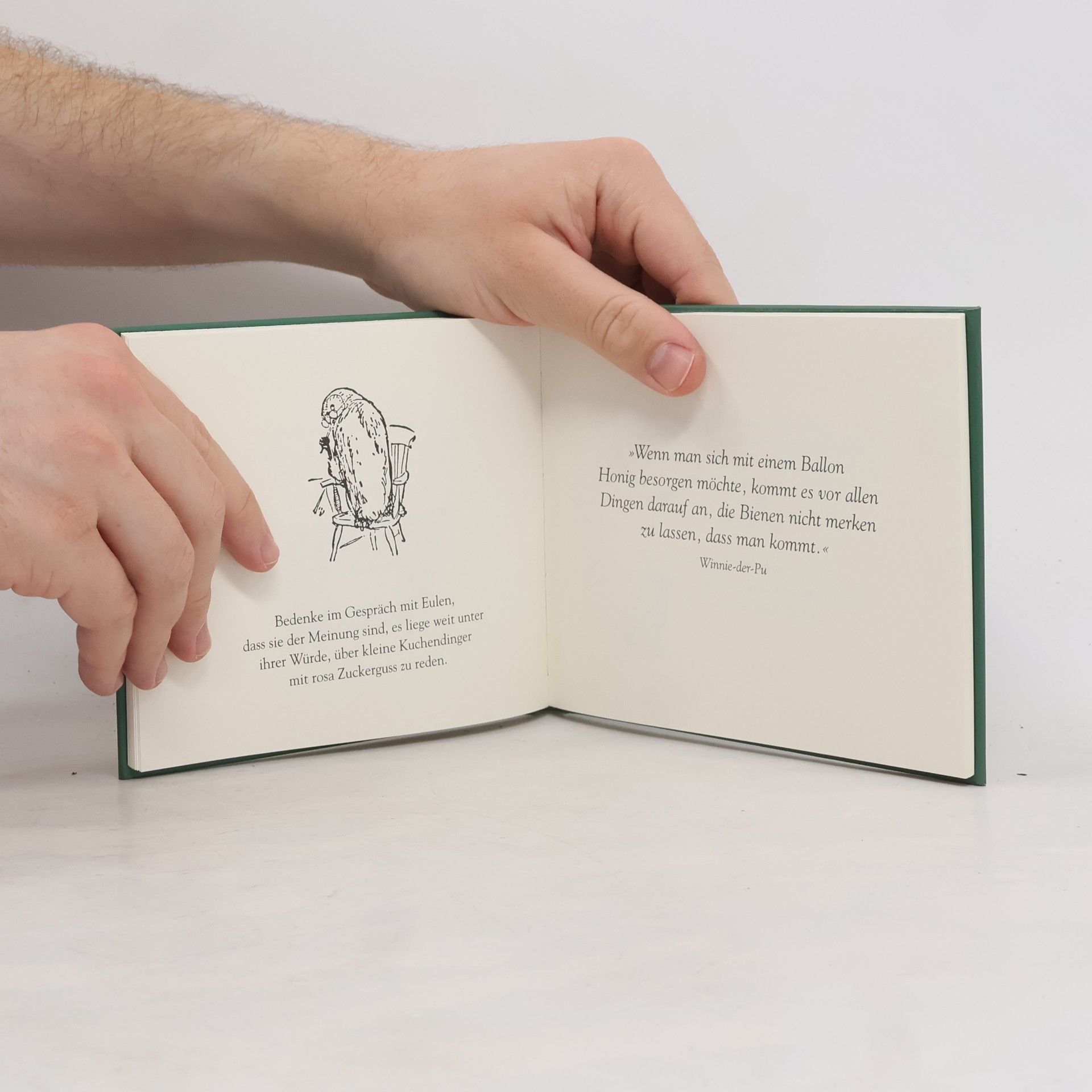 Ernest H. Shepard Pu der Bär oder wie man das Leben meistert