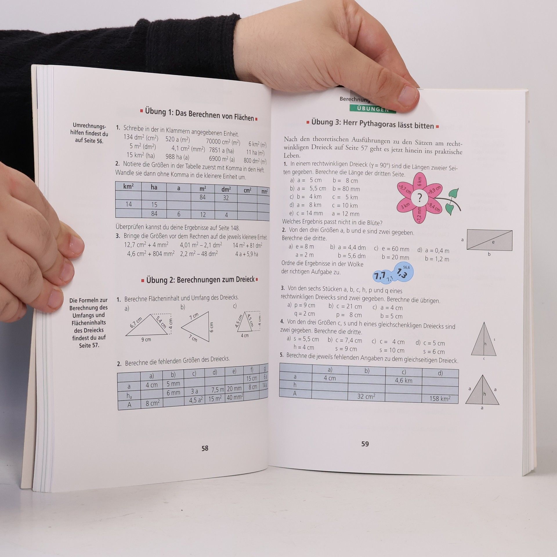 Annett Breiter Mathematik leicht gemacht: Geometrie