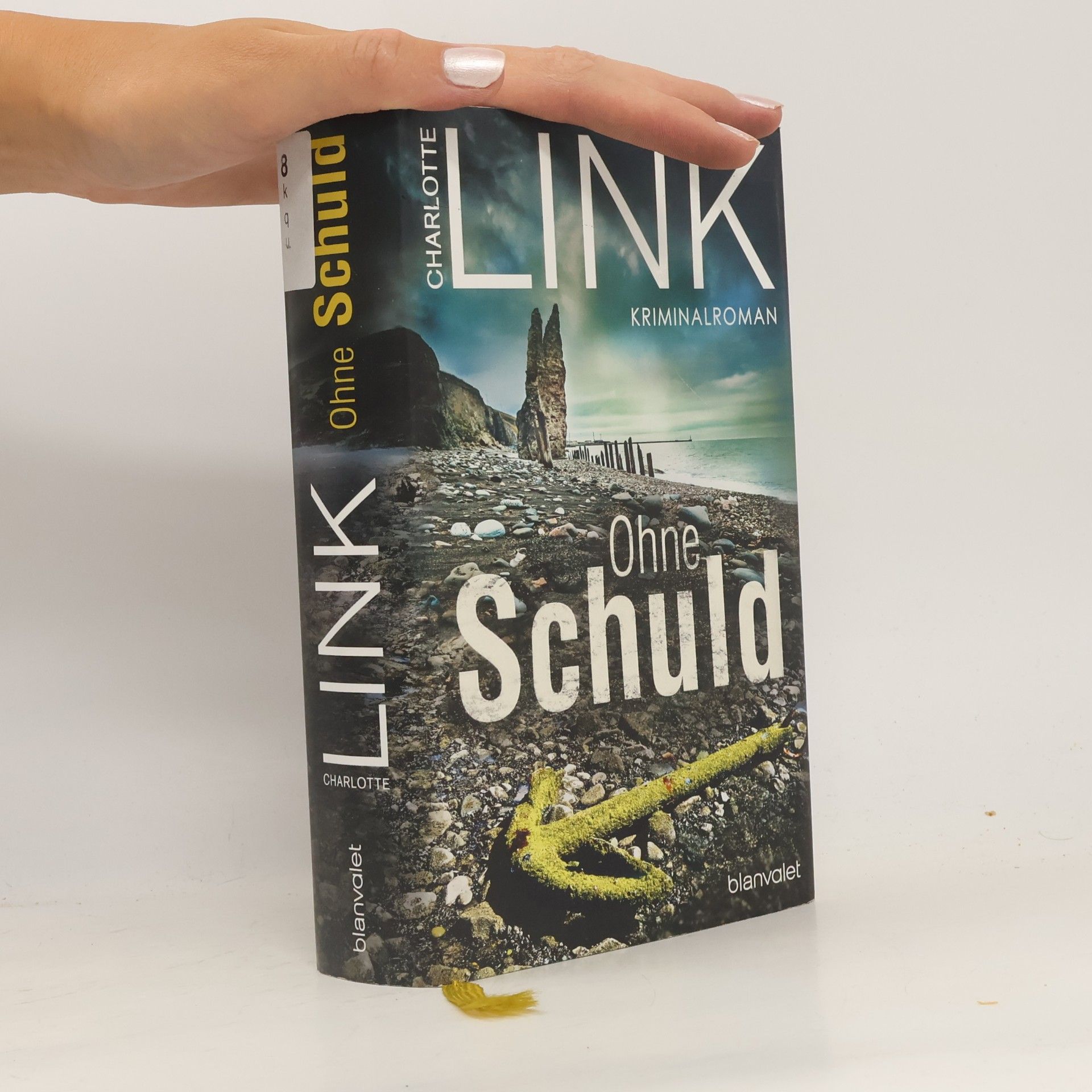 Charlotte Link Ohne Schuld