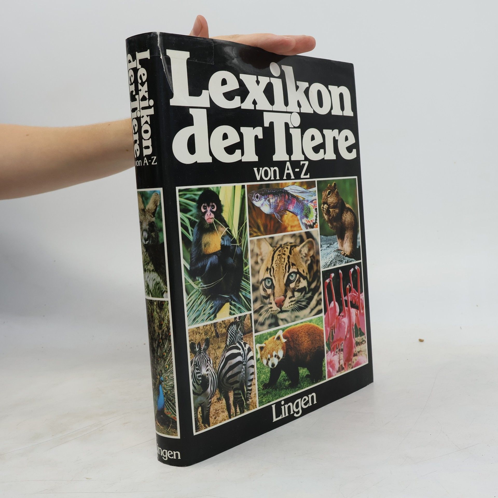 Kolektív autorov Lexikon der Tiere von A-Z