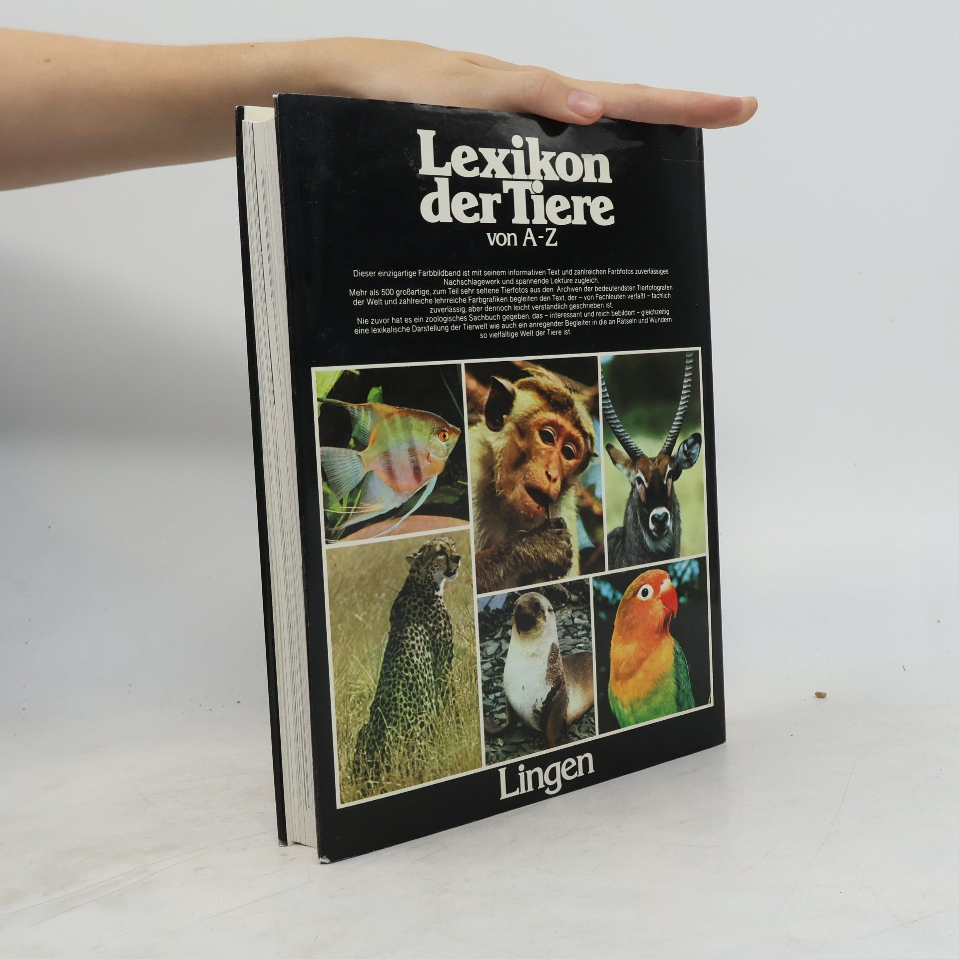 Autorenkollektiv Lexikon der Tiere von A-Z