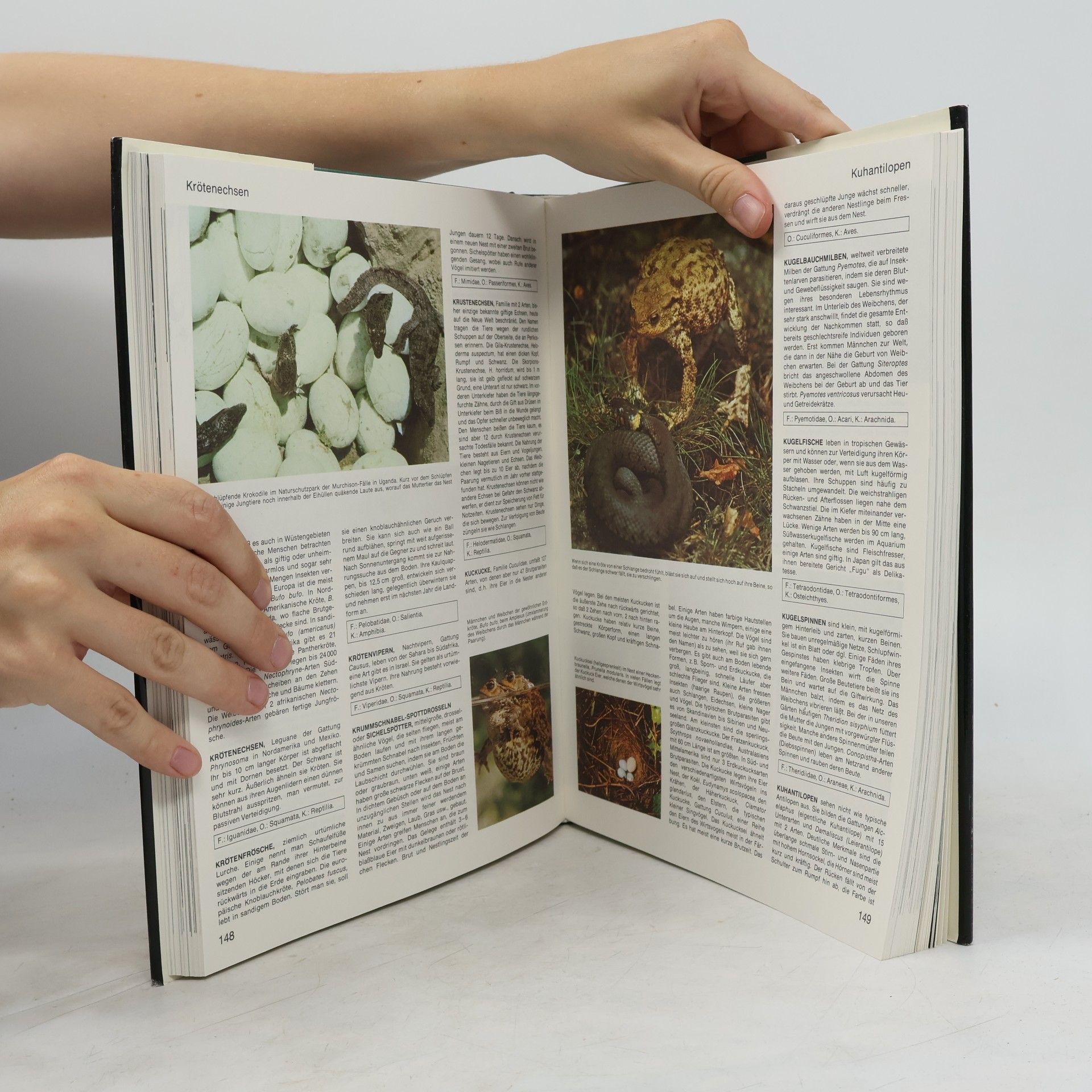 Autorenkollektiv Lexikon der Tiere von A-Z