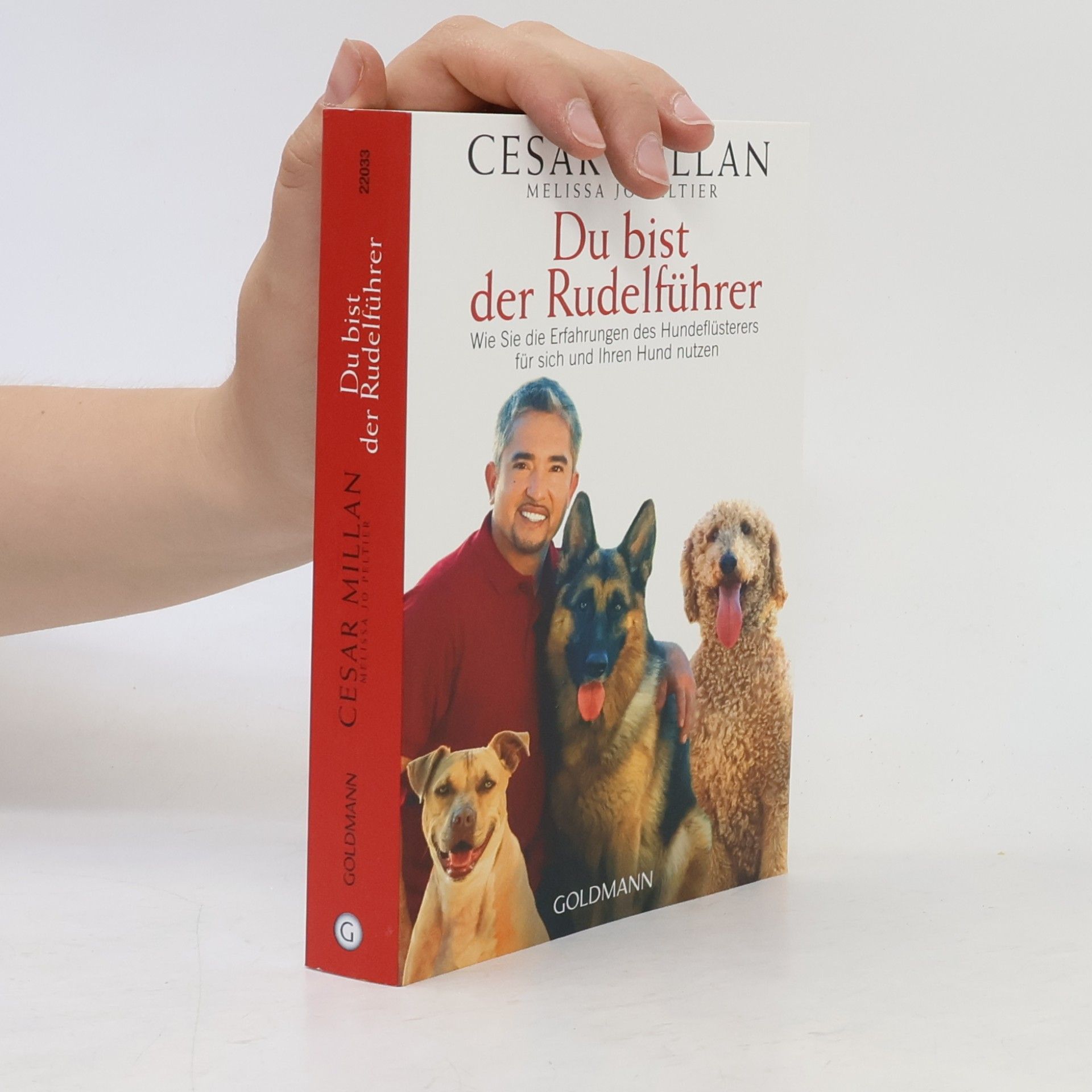 Cesar Millan Du bist der Rudelführer