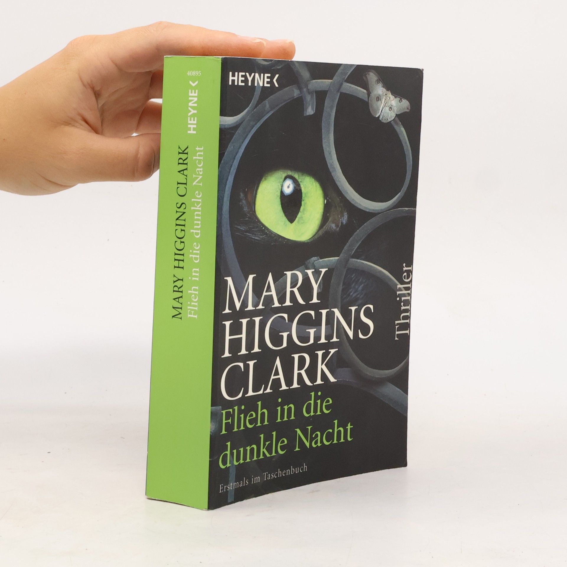 Mary Higginsová Clarková Flieh in die dunkle Nacht