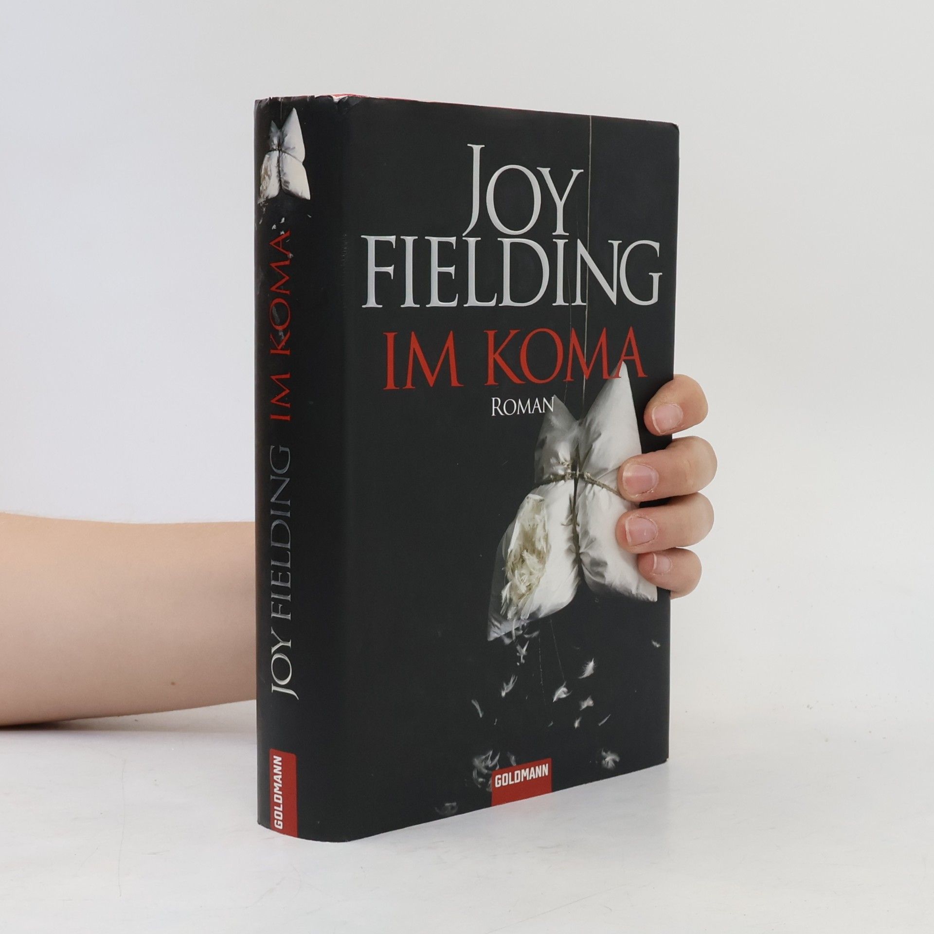 Joy Fielding Im Koma