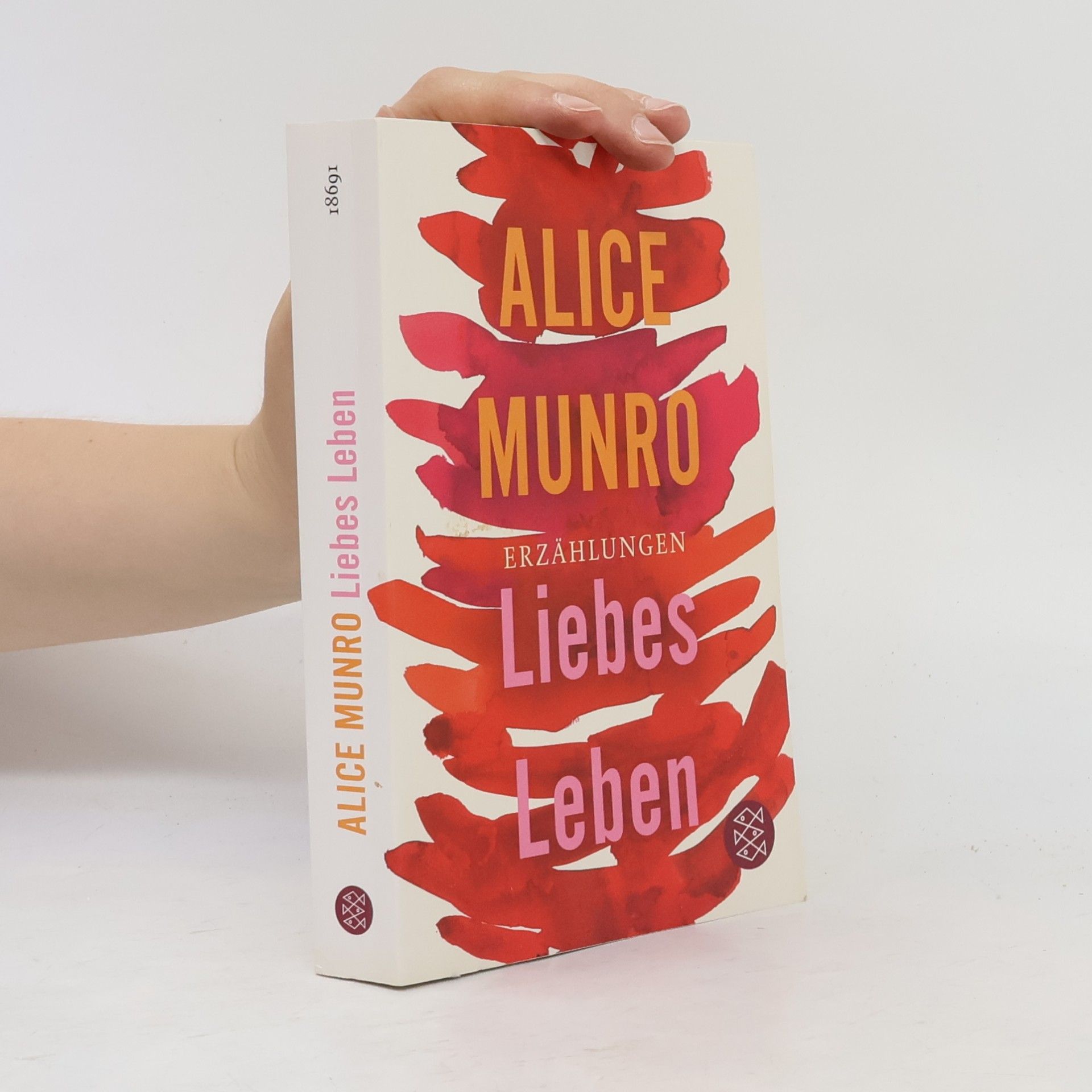 Alice Munro Liebes Leben