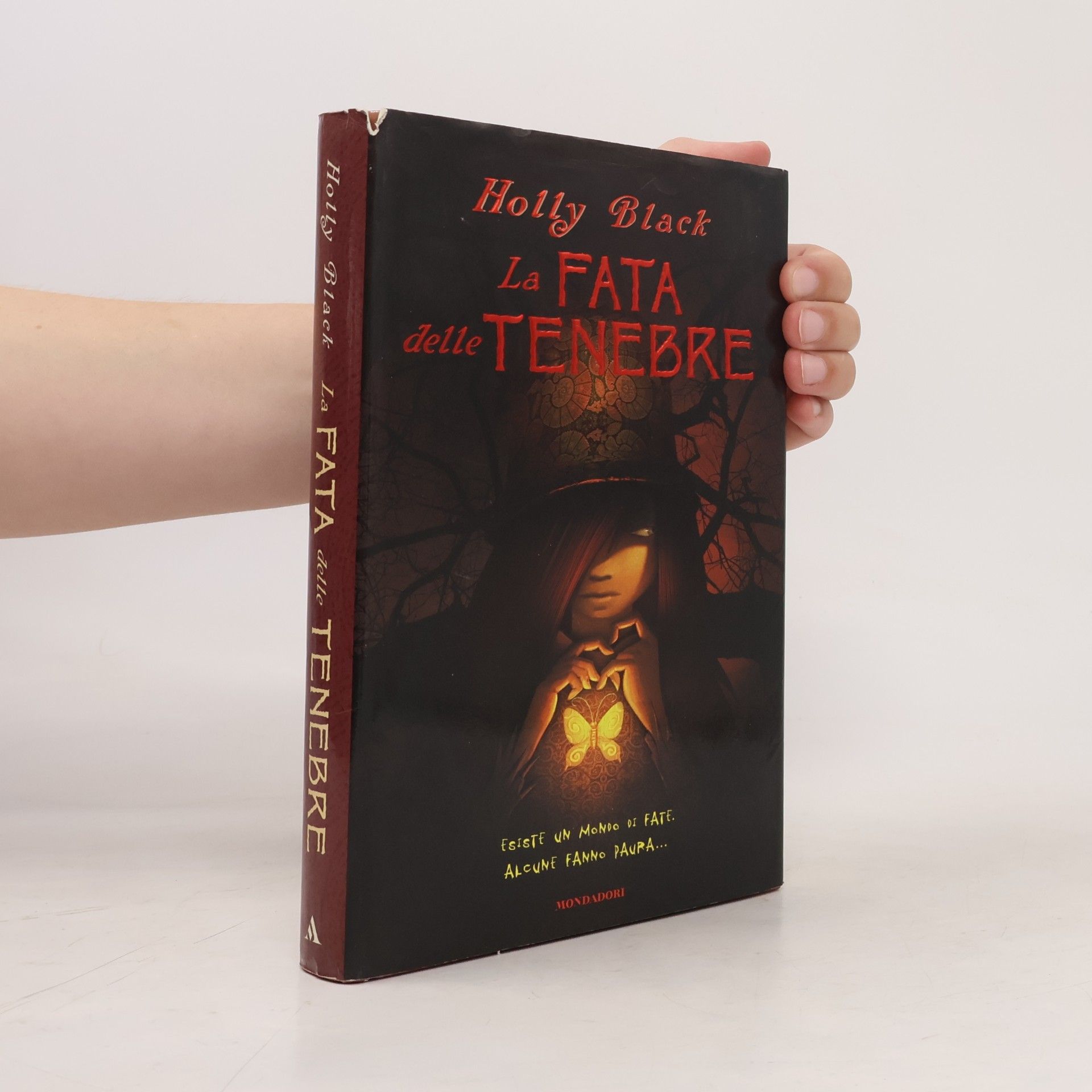 Holly Black La Fata delle Tenebre