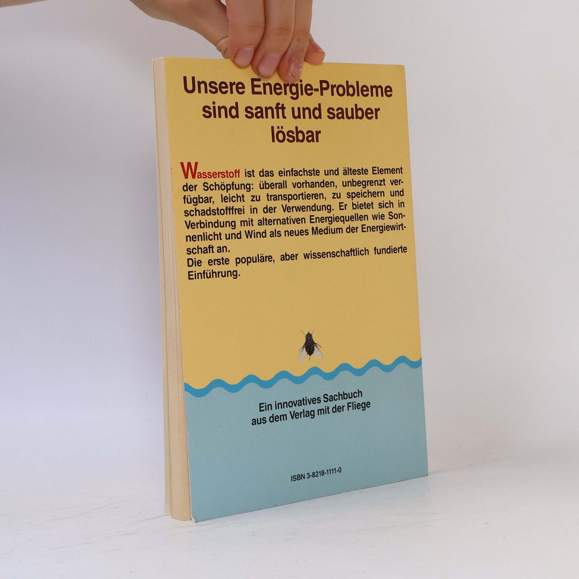 Henning Boe͏̈tius Der Energieträger der Zukunft Wasserstoff