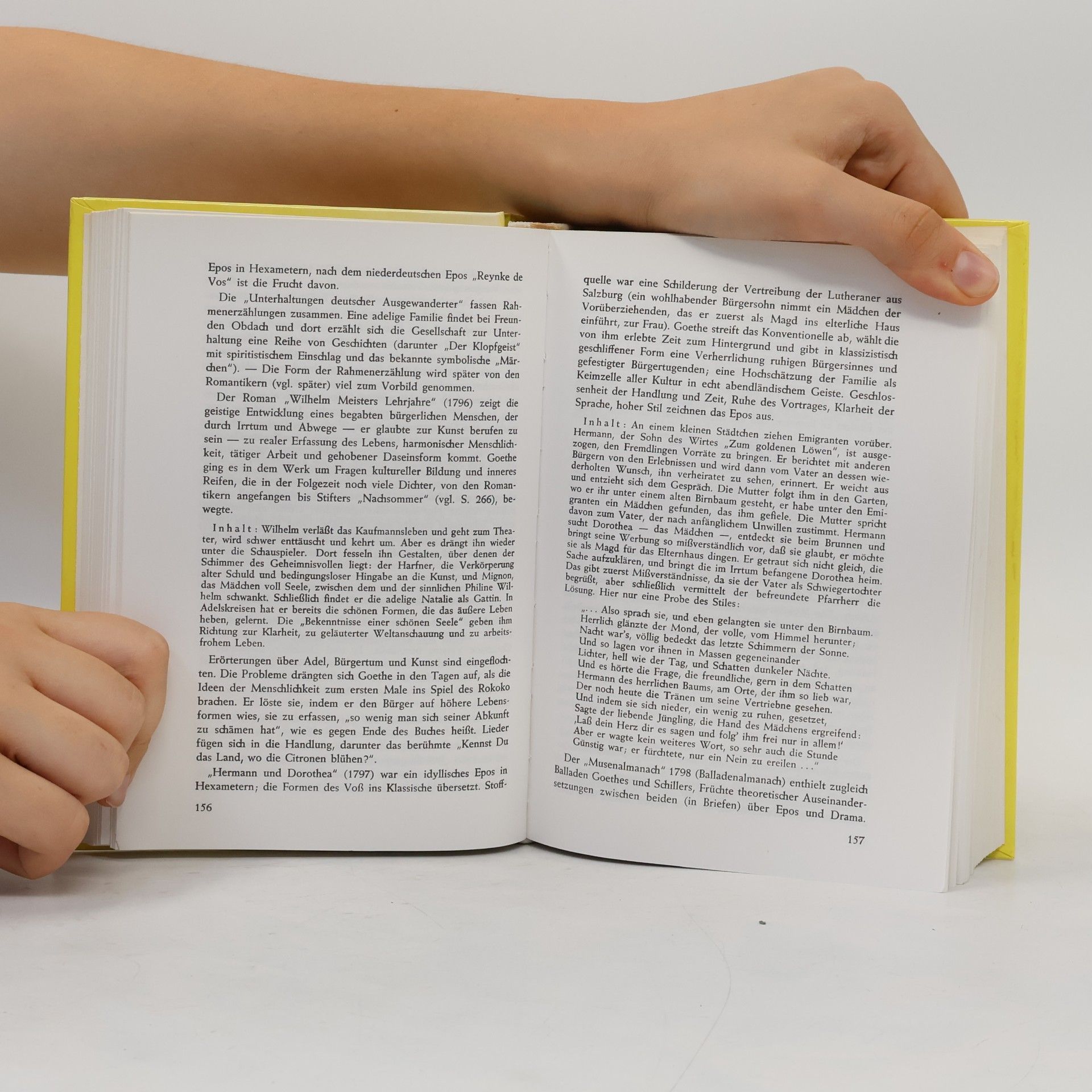 Various authors Lechner's Literaturgeschichte