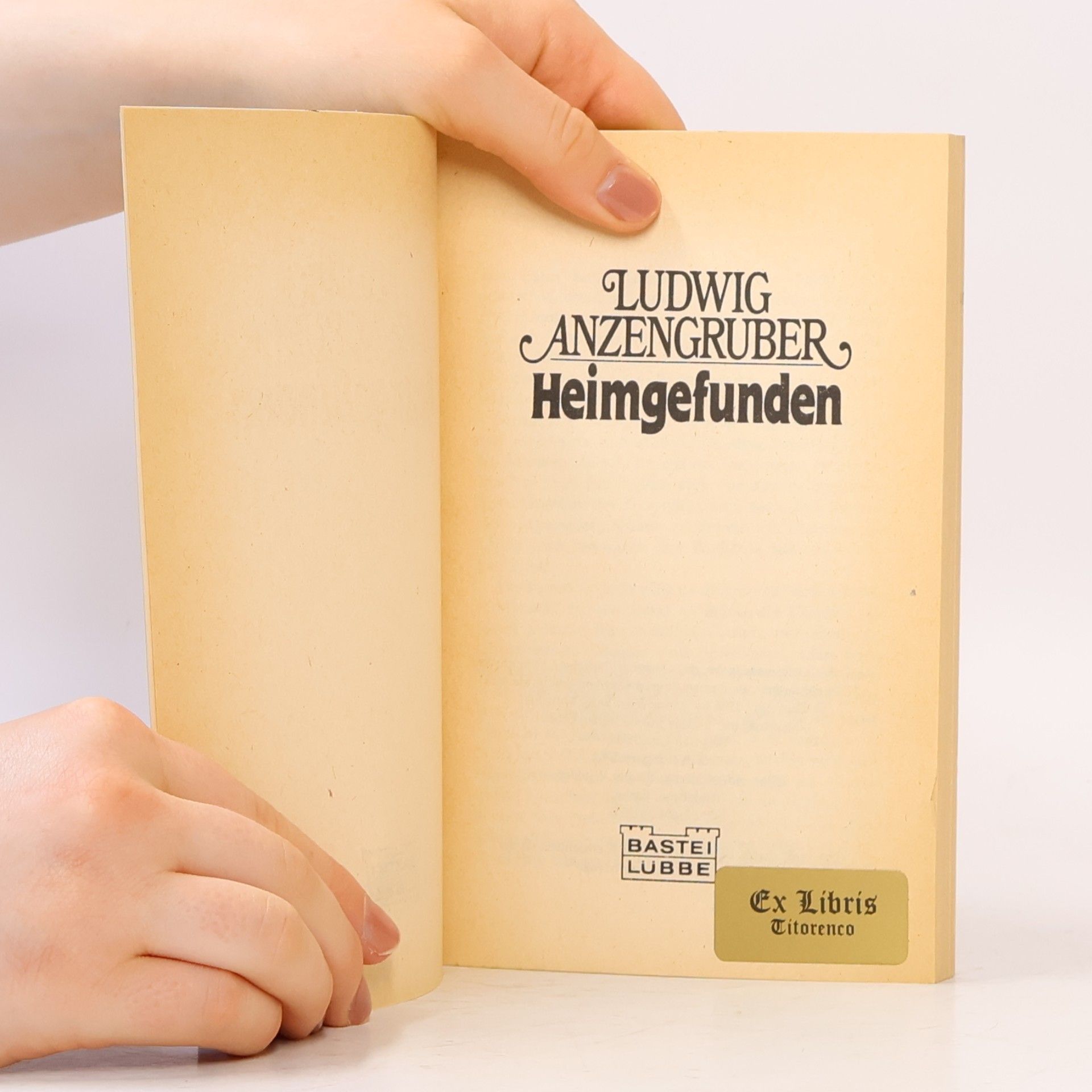 Ludwig Anzengruber Heimgefunden