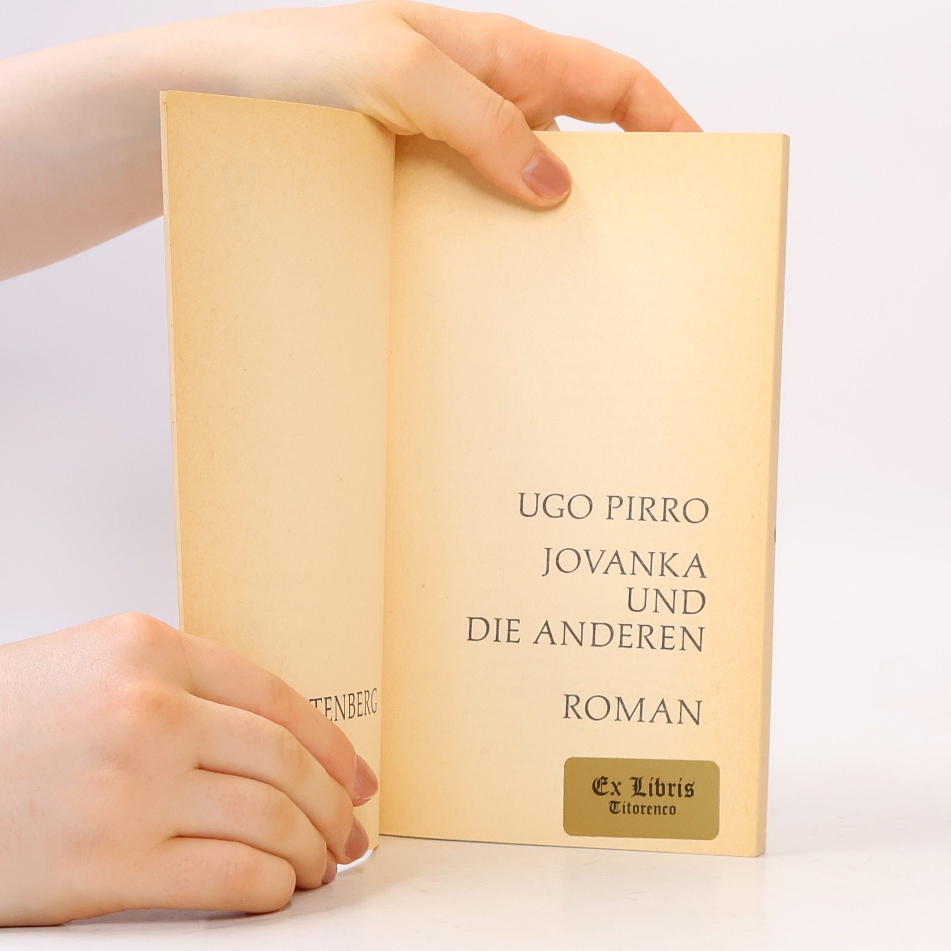 Ugo Pirro Jovanka und die anderen