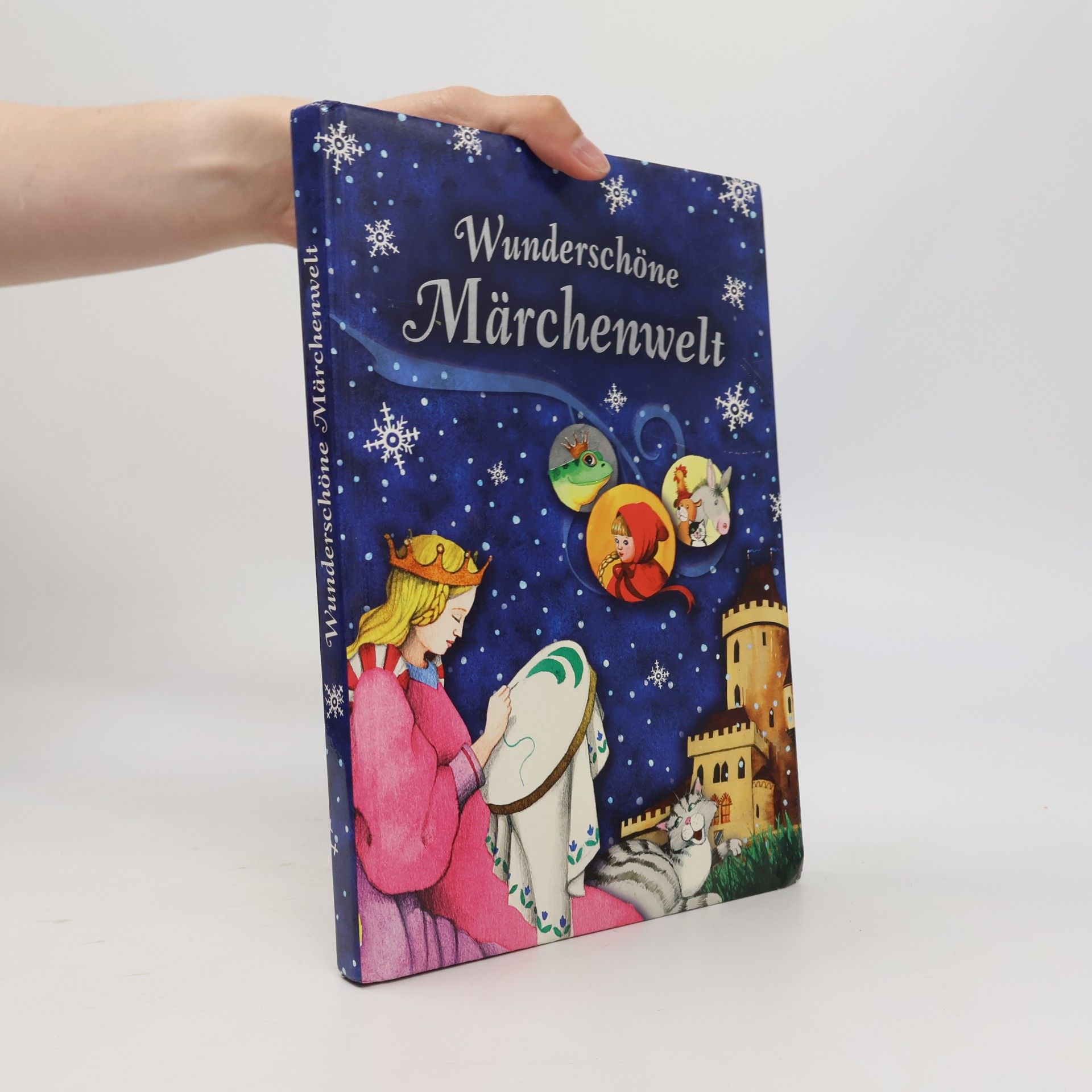 Autorenkollektiv Wunderschöne Märchenwelt