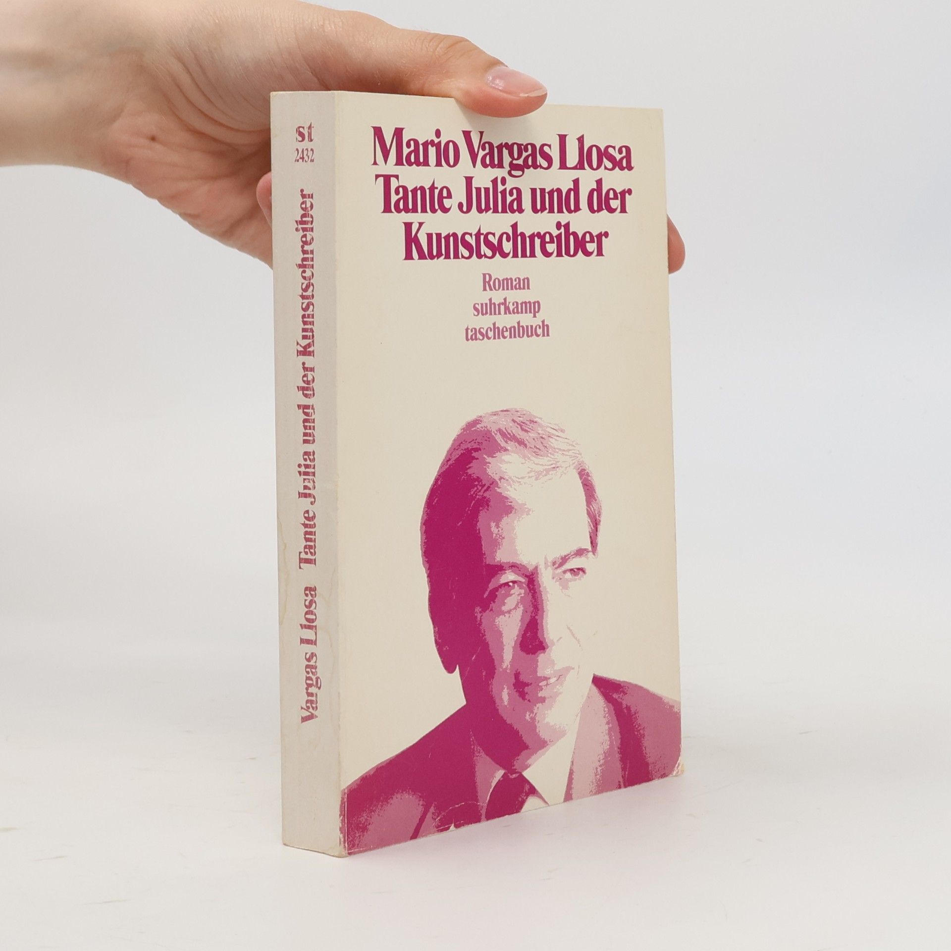 Mario Vargas Llosa Tante Julia und der Kunstschreiber