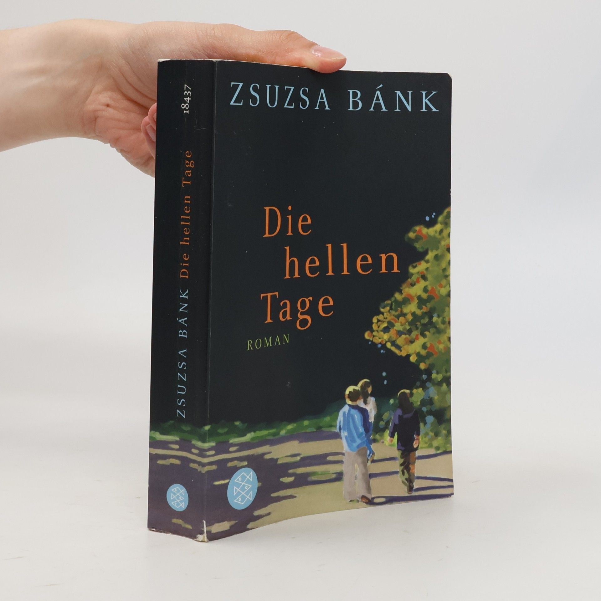 Zsuzsa Bánk Die hellen Tage