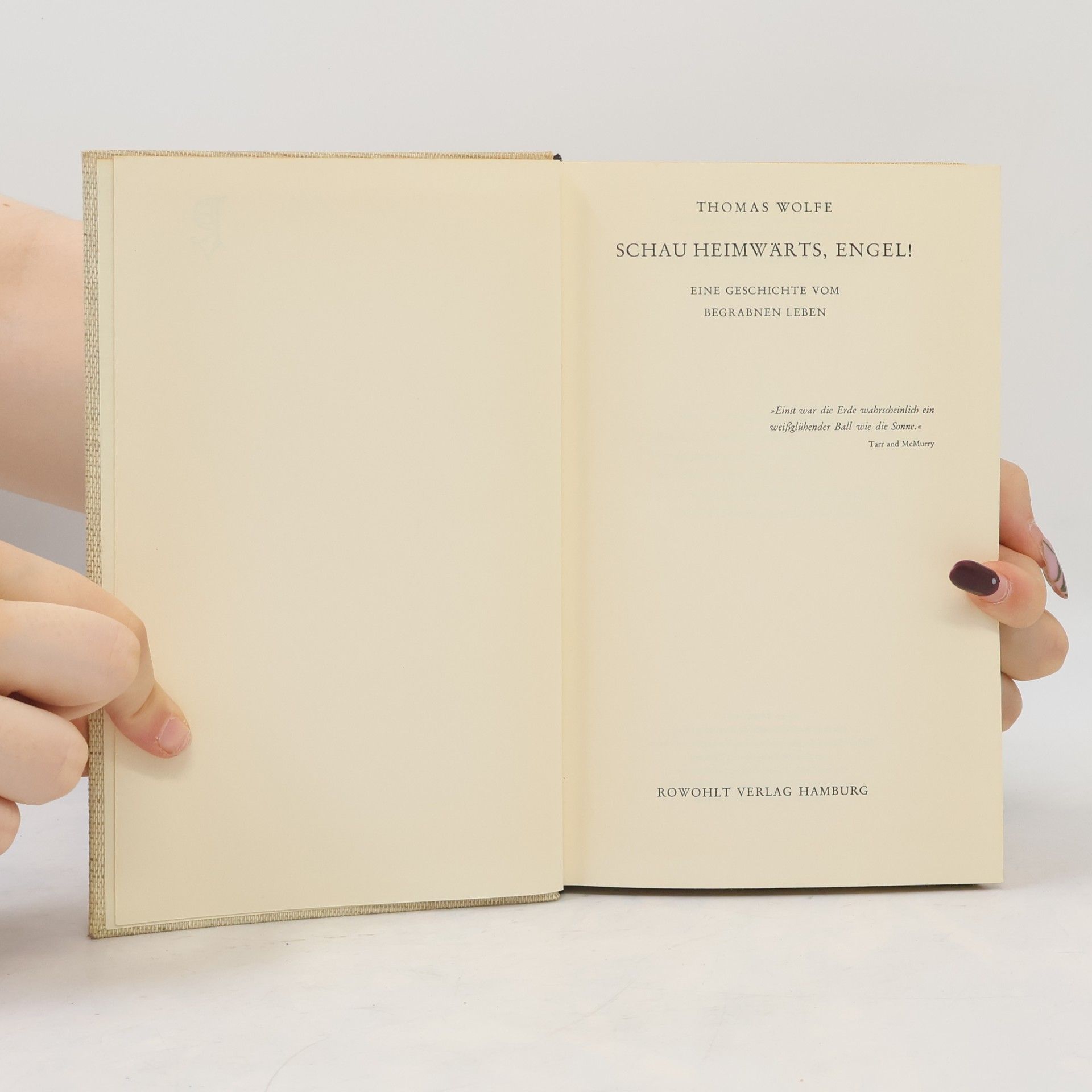 Thomas Wolfe Schau heimwärts, Engel!