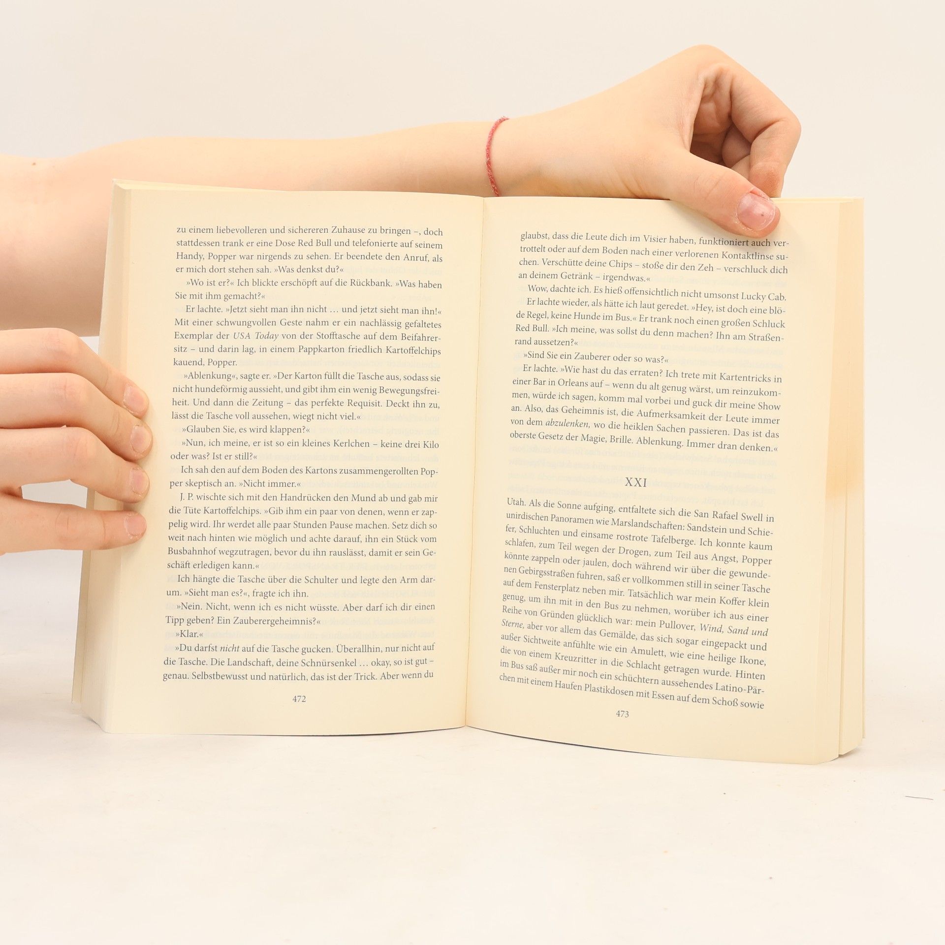 Donna Tartt Der Distelfink
